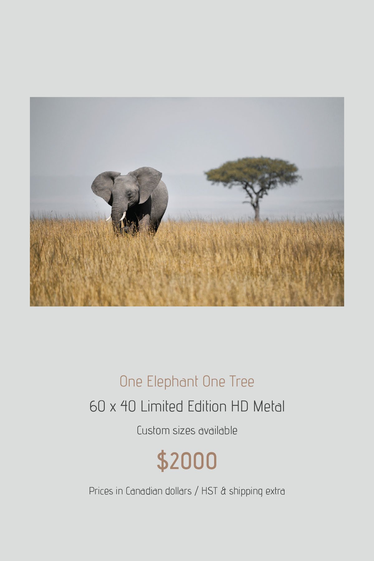 Africa_LayoutImages_V1-52.jpg