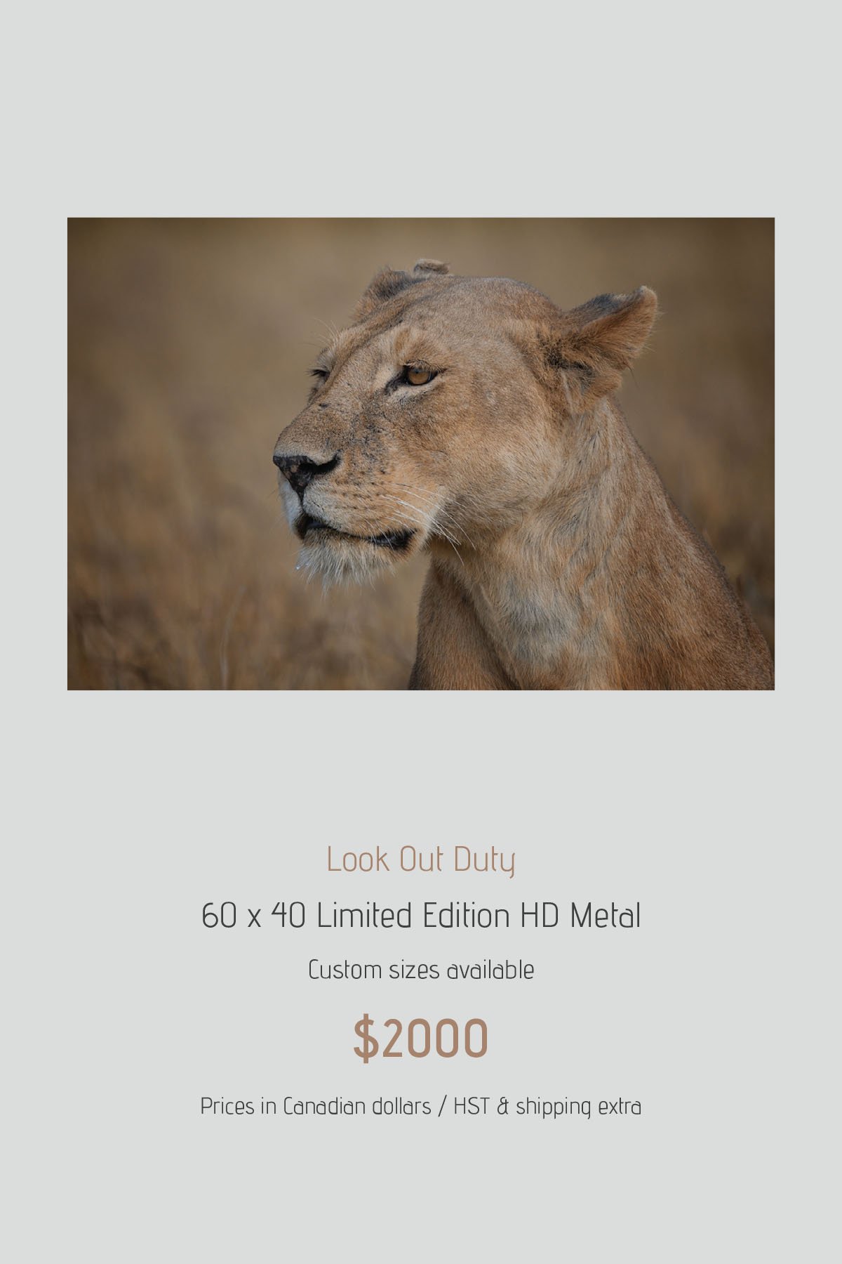 Africa_LayoutImages_V1-48.jpg