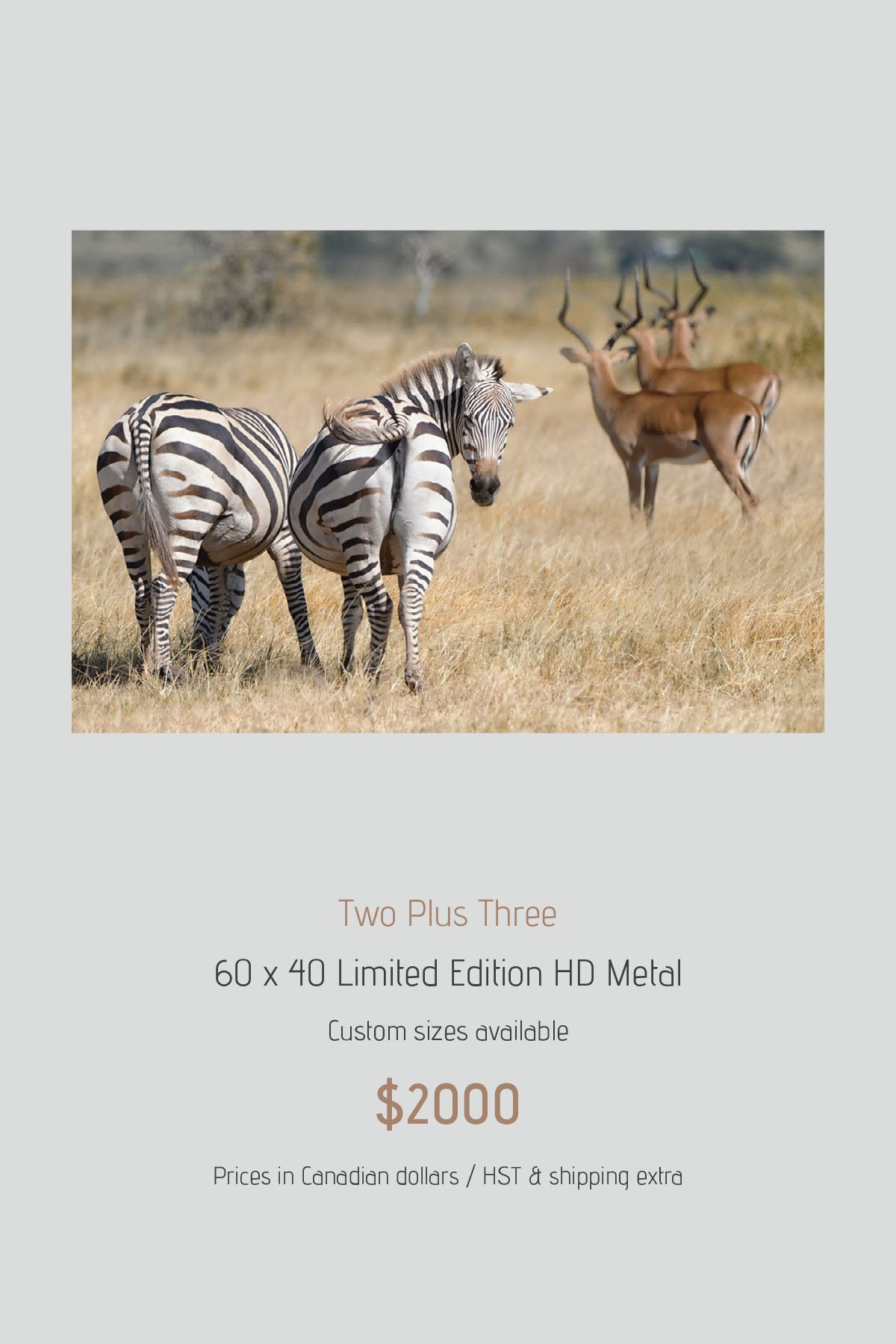 Africa_LayoutImages_V1-24.jpg