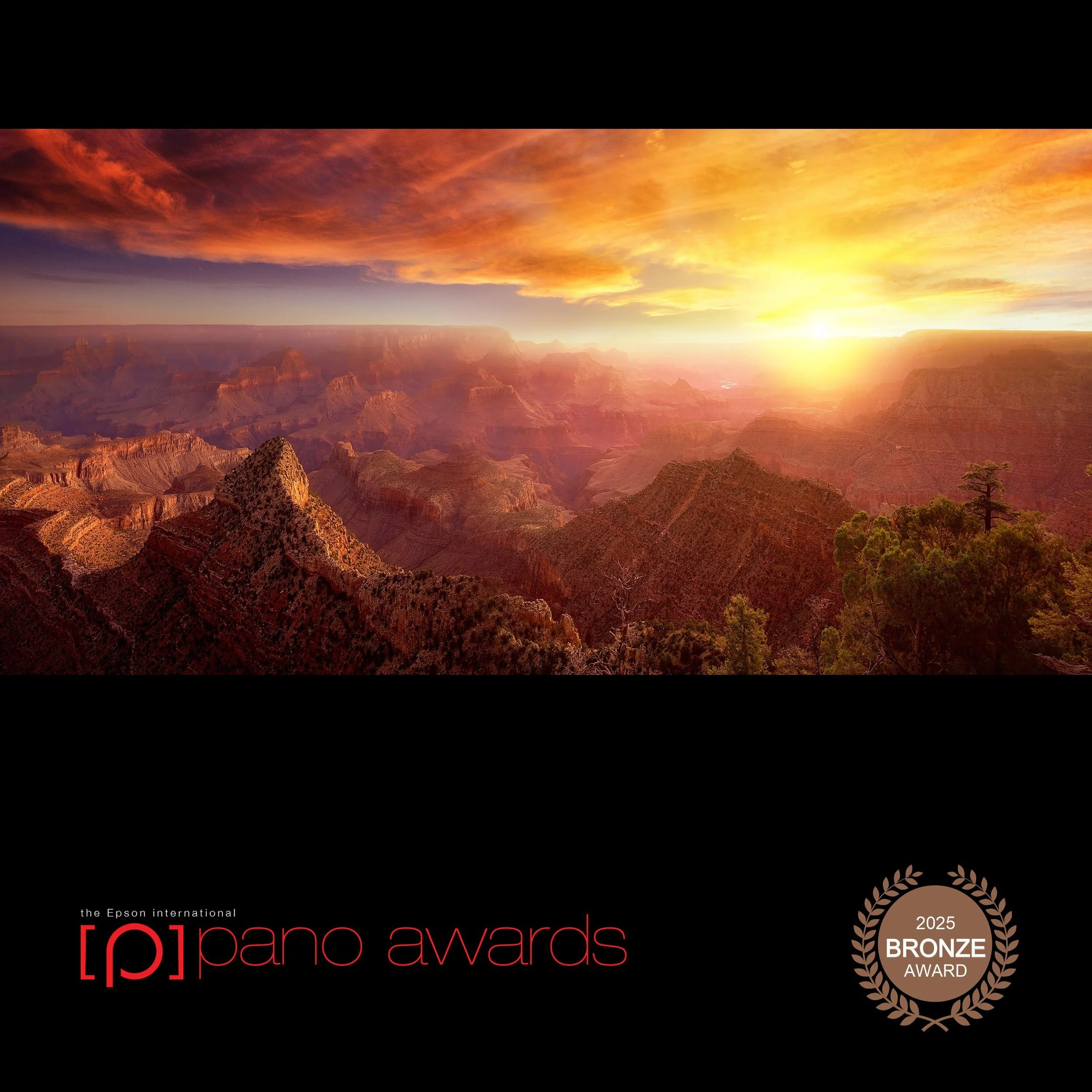 2025-Epson-Pano-Awards-Score-Open Awards-Social-Badge-28253.jpg