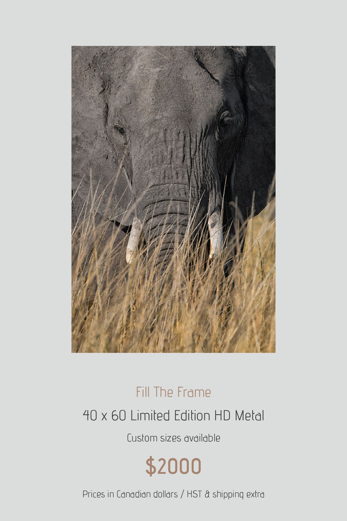 Africa_LayoutImages_V1-17.jpg