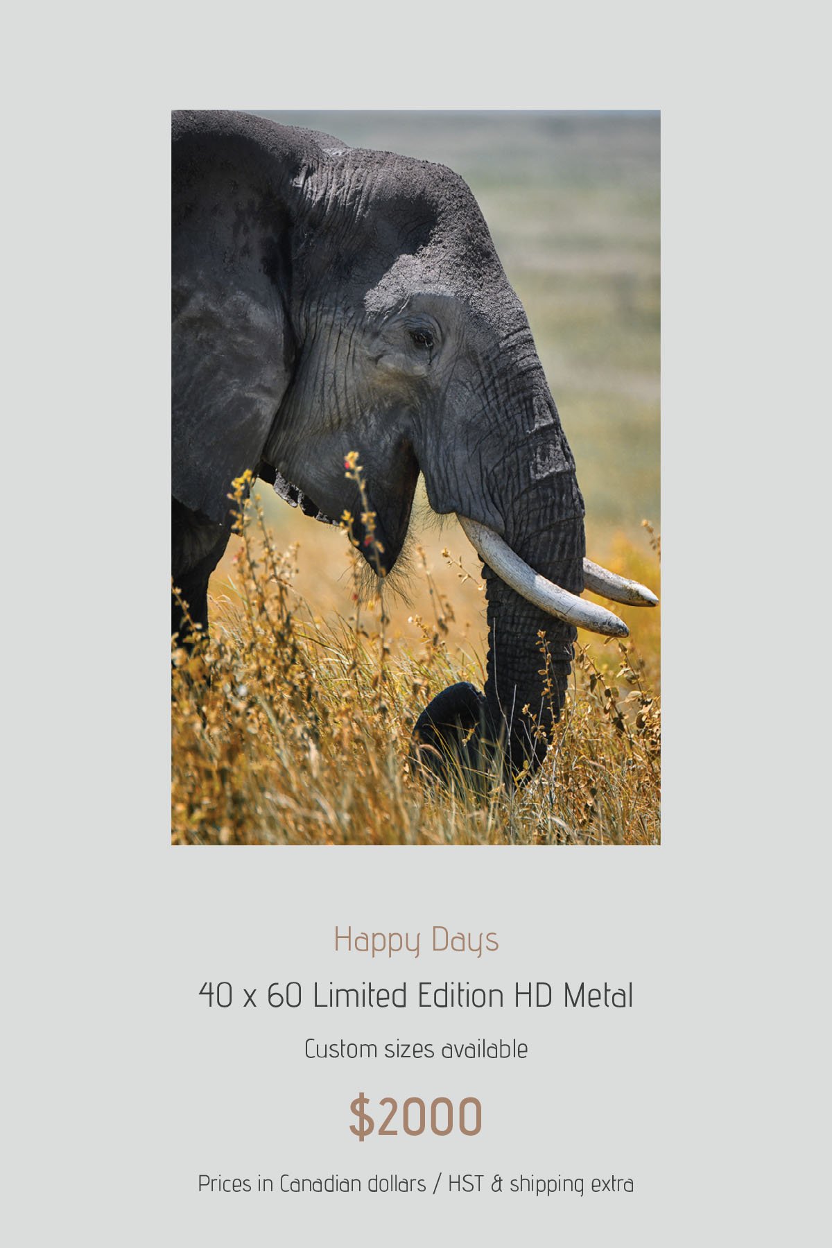 Africa_LayoutImages_V1-15.jpg