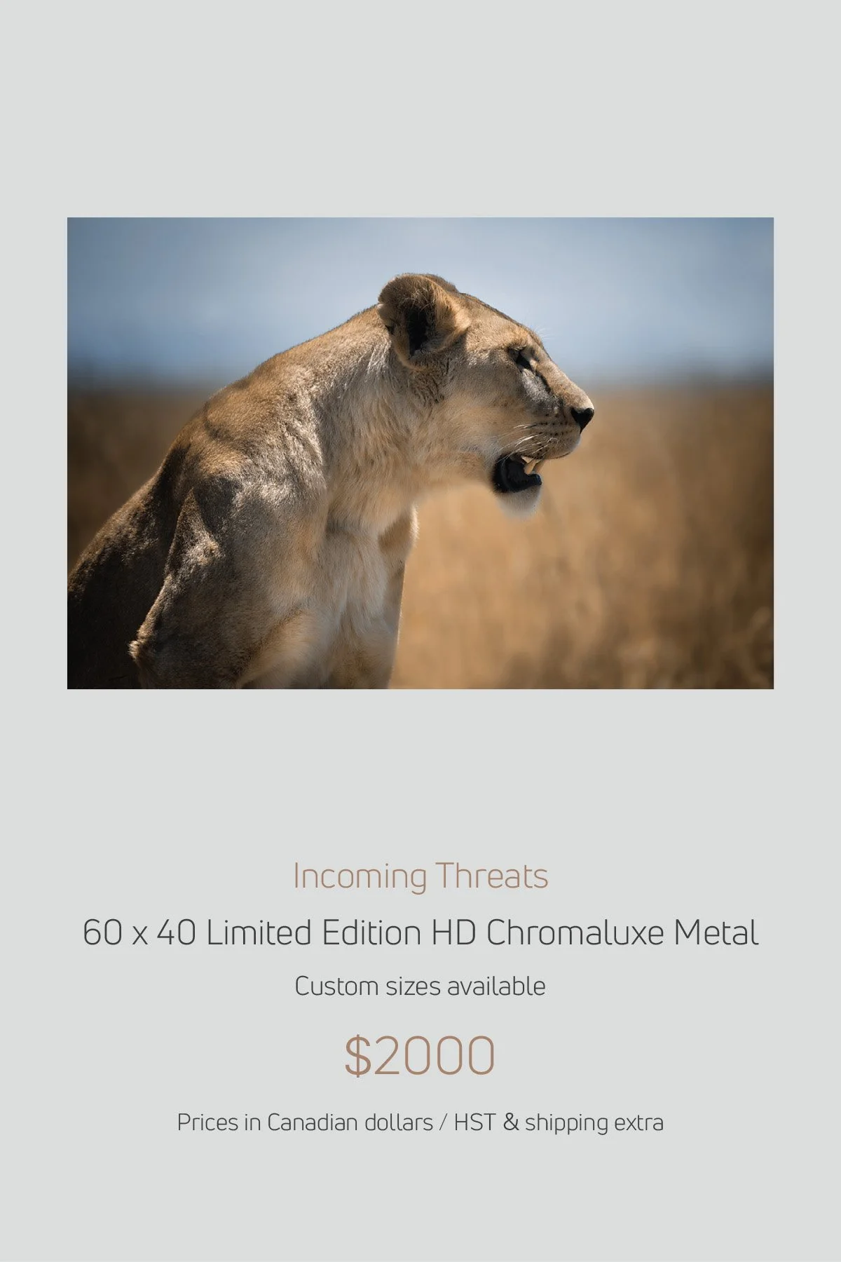 Africa_LayoutImages_V1-24.jpg