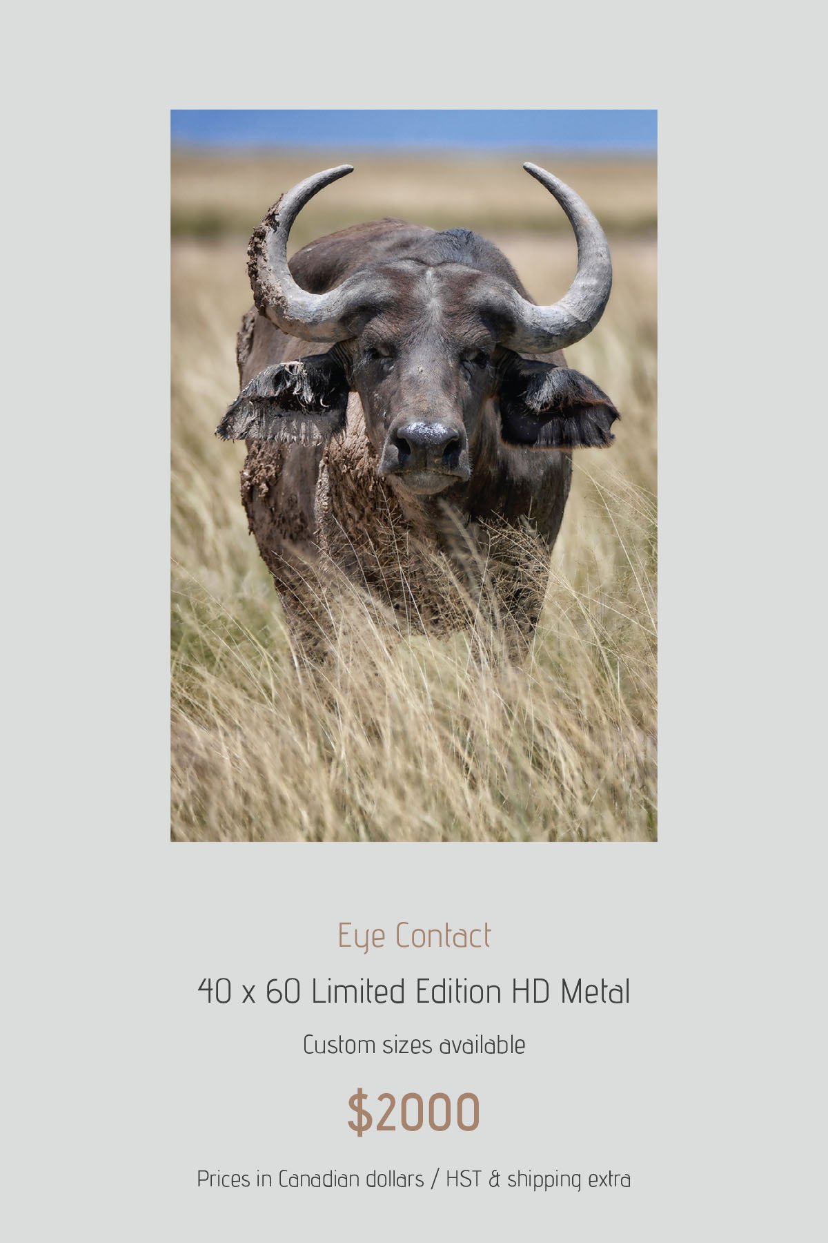 Africa_LayoutImages_V1-1.jpg