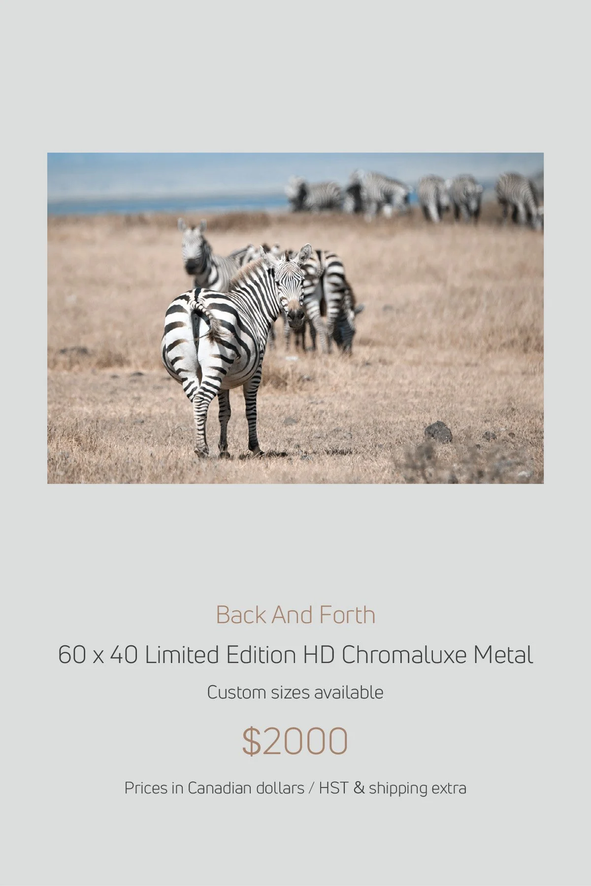 Africa_LayoutImages_V1-15.jpg