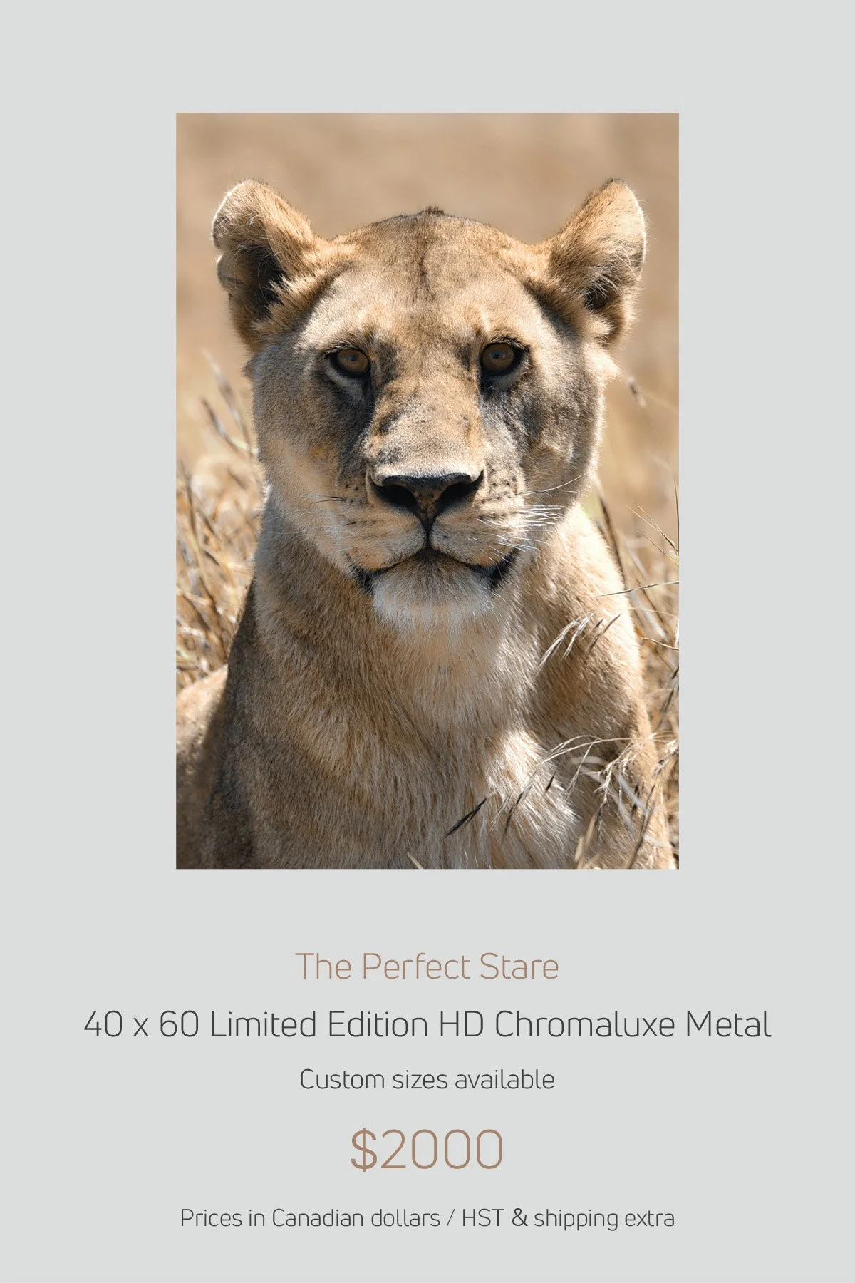 Africa_LayoutImages_V1-4.jpg
