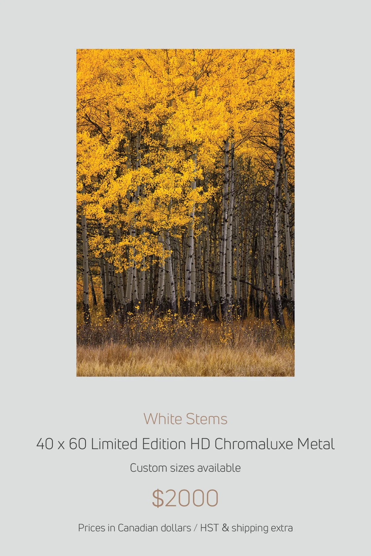 Colorado_LayoutImages_V1-3.jpg