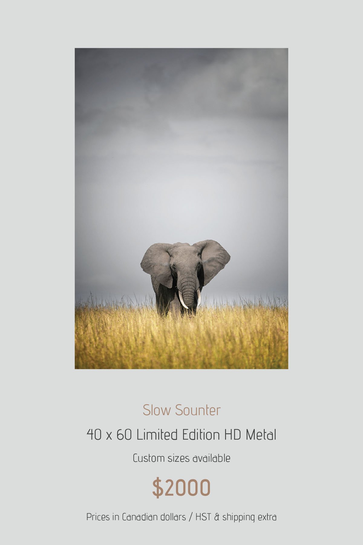 Africa_LayoutImages_V1-19.jpg