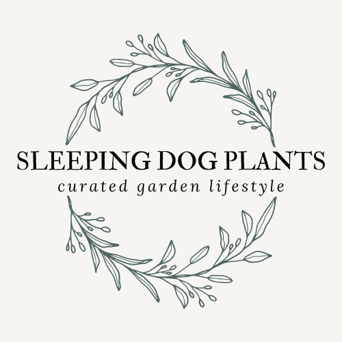 Sleeping Dog &amp; Mermaid Farm