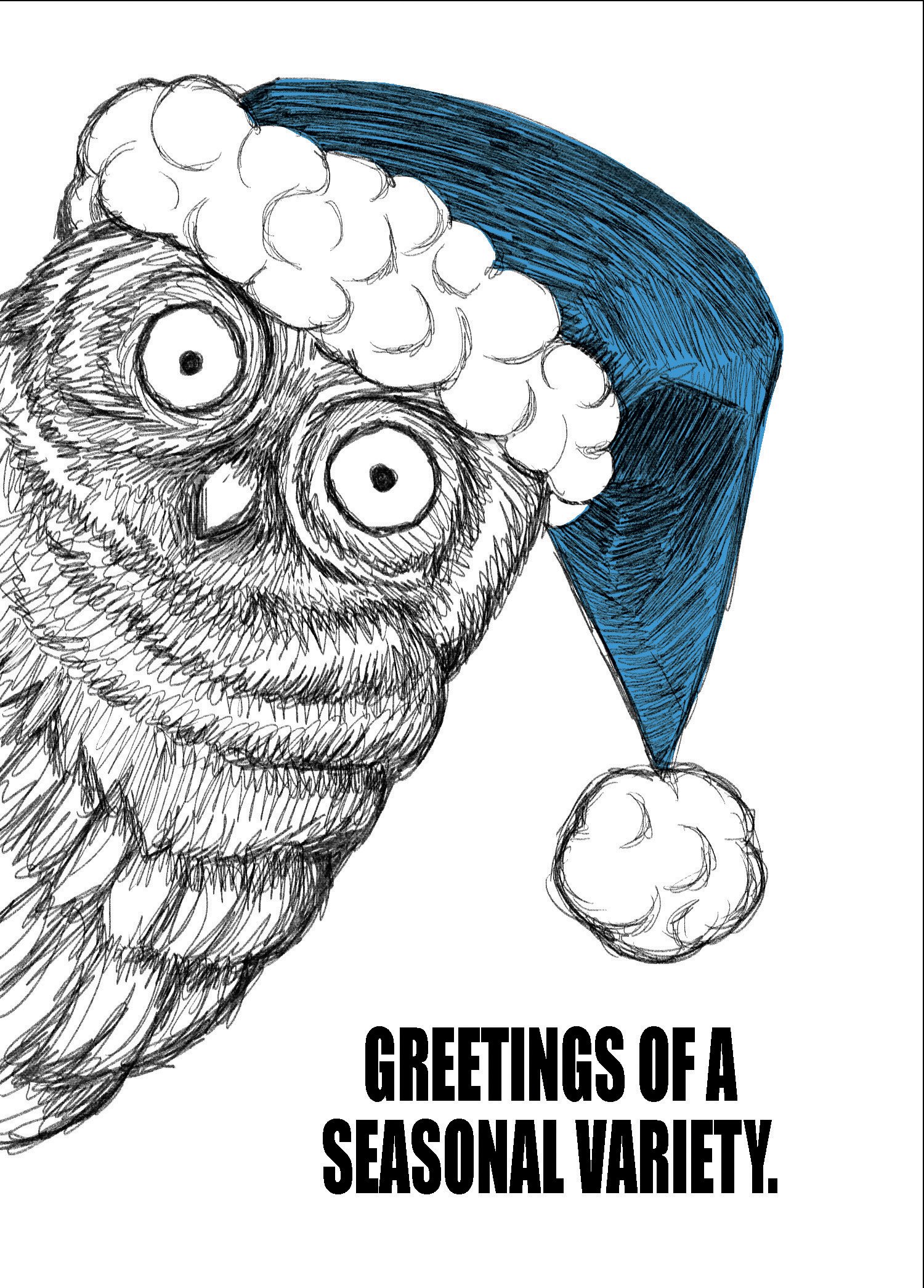 holiday owl blue cap.jpg