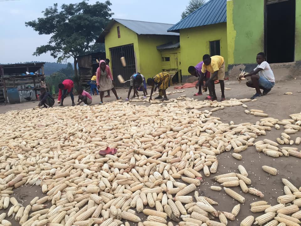 12 WEBSITE Agriculture HARVEST .jpg .jpg
