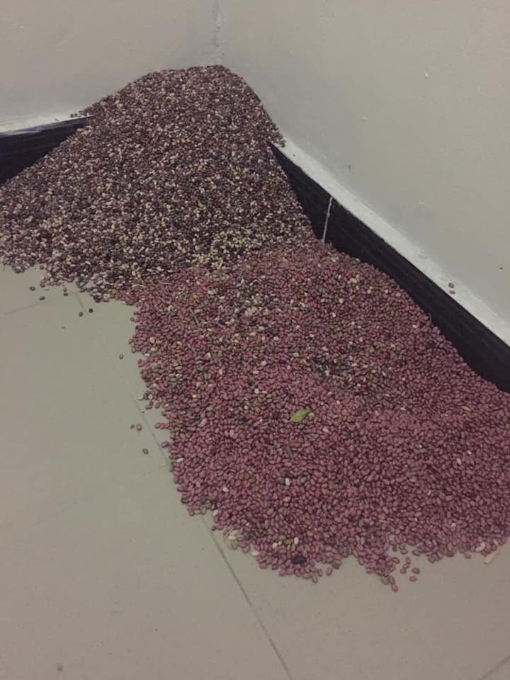 WEBSITE Agriculture HARVEST.jpg