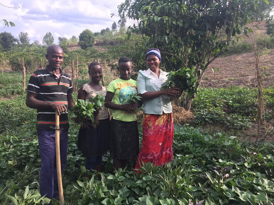 13 WEBSITE Agriculture HARVESTING.jpg