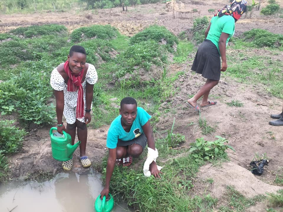 4 WEBSITE Agriculture WATERING.jpg