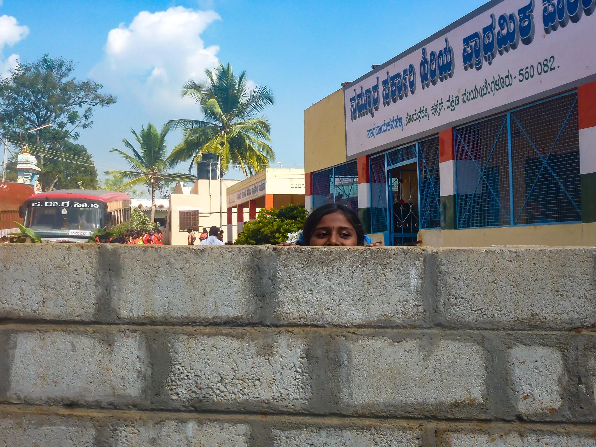 P1170934.jpg