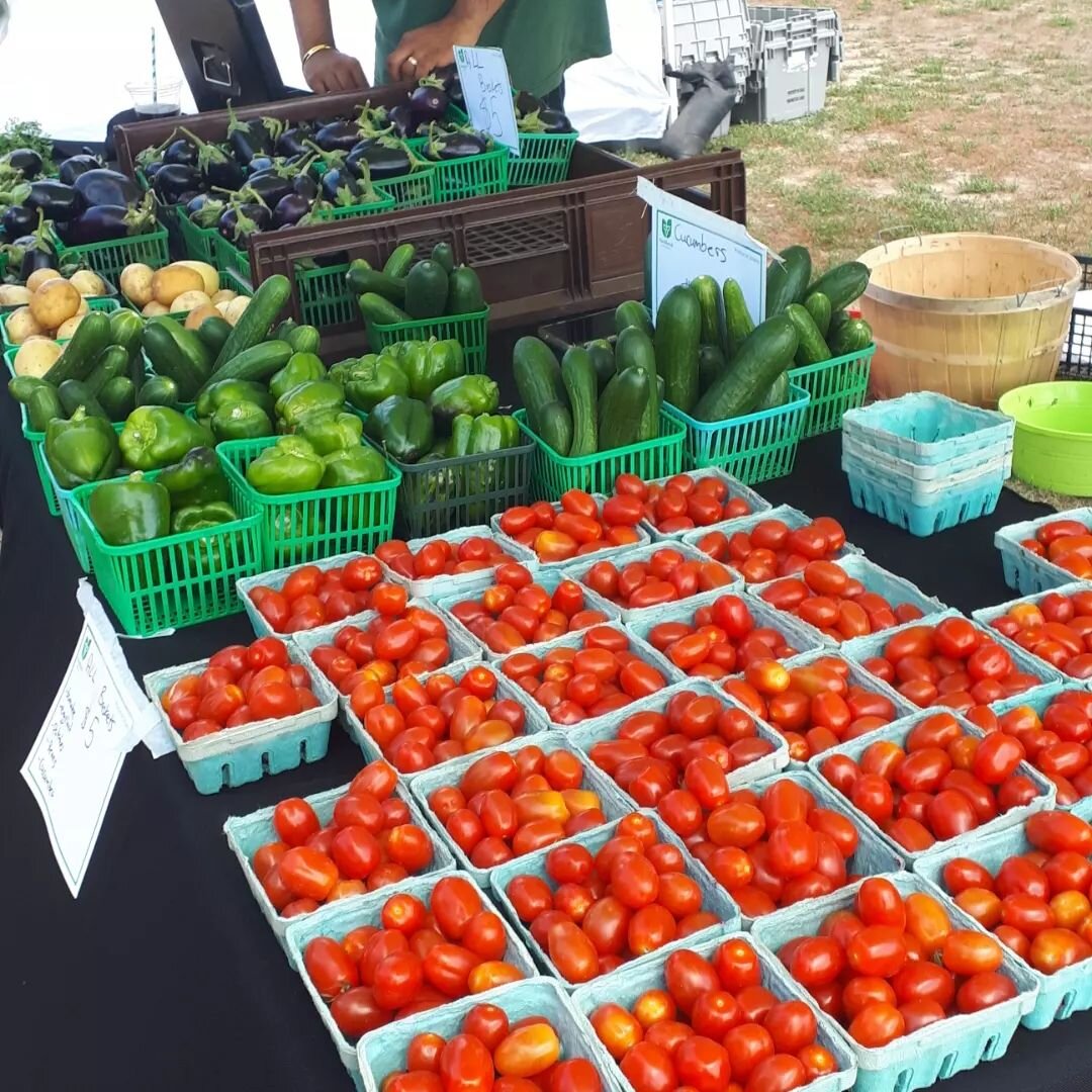 Another Saturday, another day at the market! 

Check out our directory to find a farmers' market near you 🍑🌽🥕

#farmersmarket #junctionfarmersmarket #local