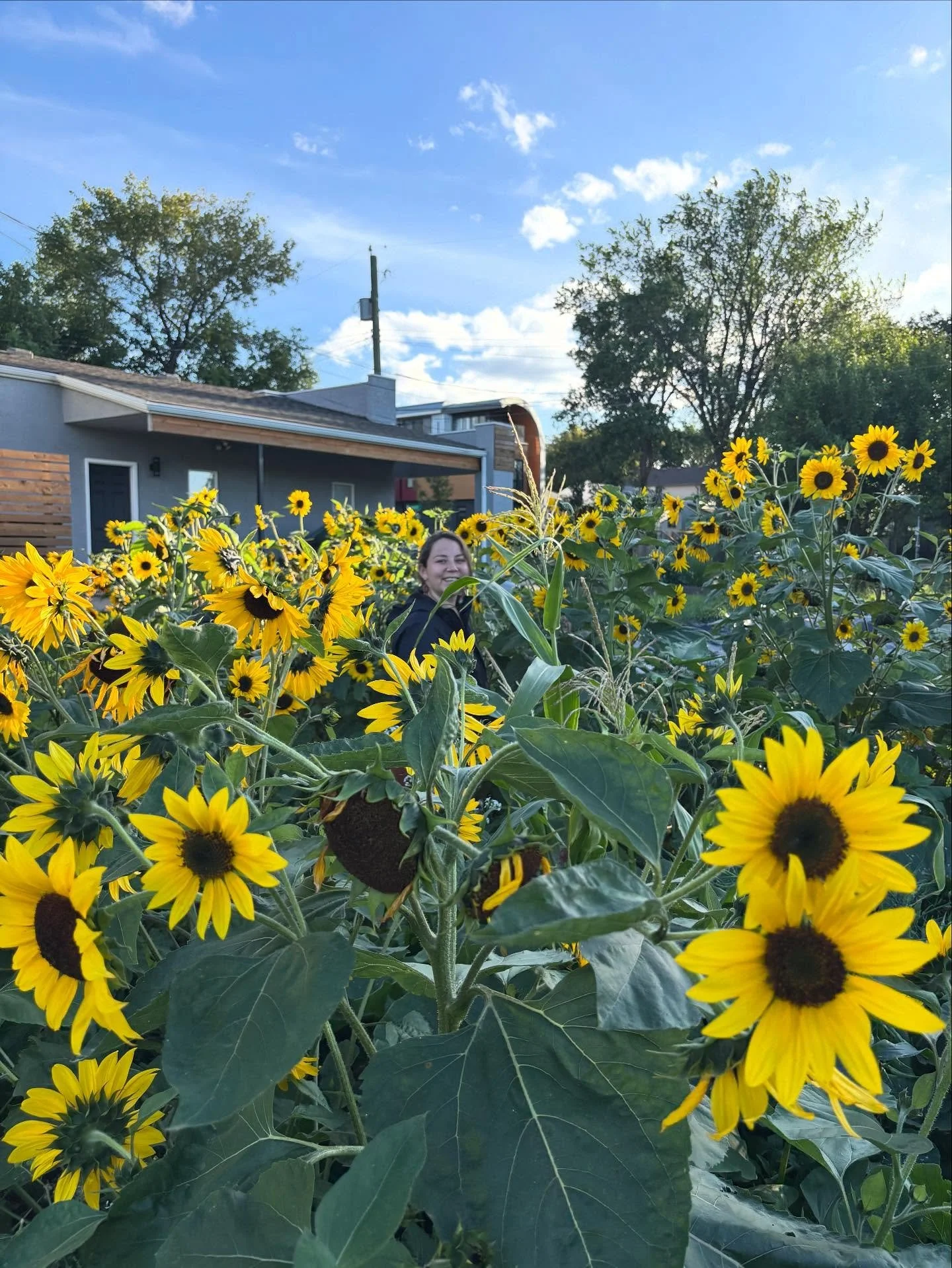 Celebrating all the joyful moments we had in the garden this year, with each other, with nature, and with our little plants and seeds.

The season culminated in the 2025 NGM Garden Club coming together last night for a final hurrah&hellip;a Harvest P
