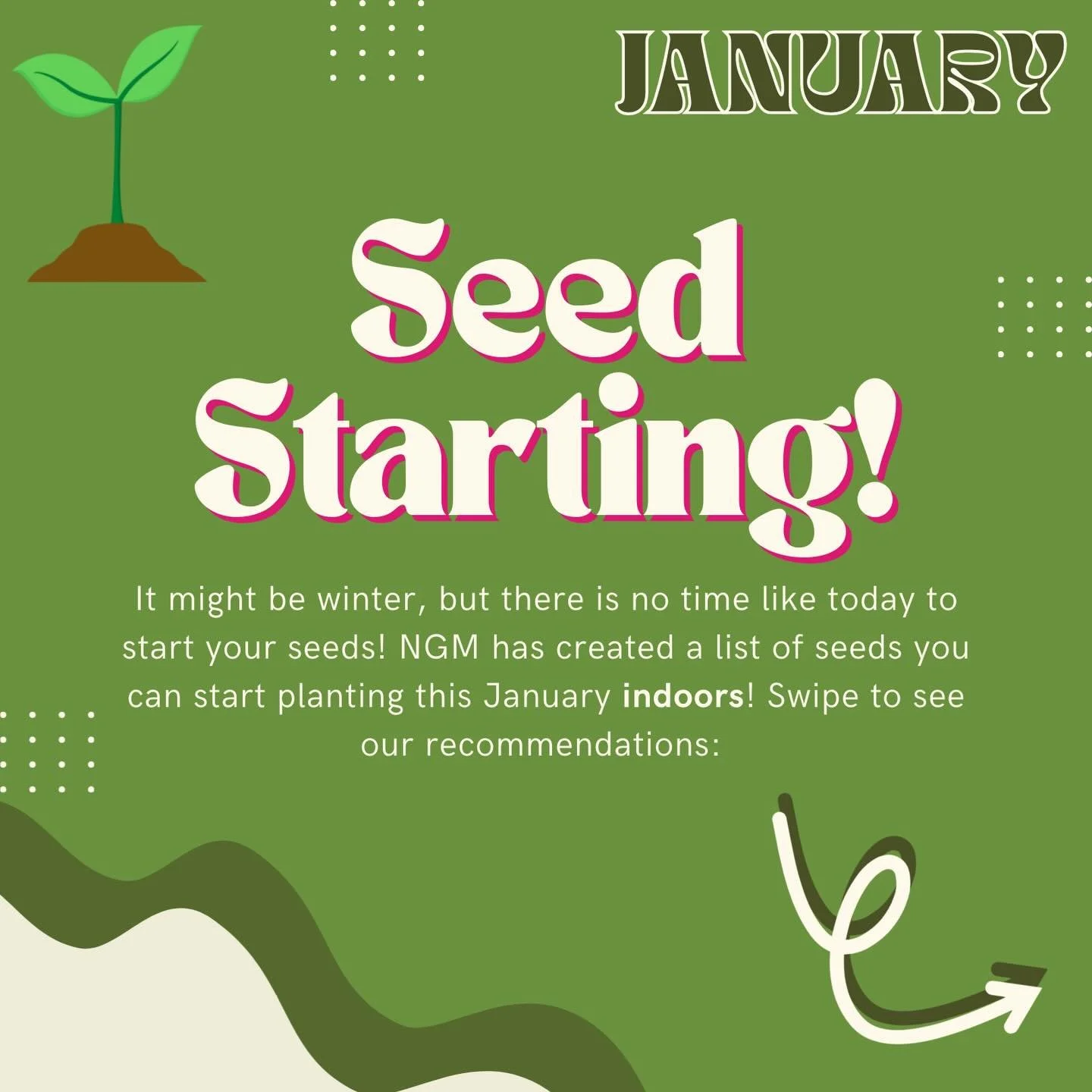 With the new year in full swing, we are ready to start planting and hope you are too!

Canada has a shorter growing season so starting plants with longer growing seasons indoors allows for more growing time. Check out our recommendations for seeds yo