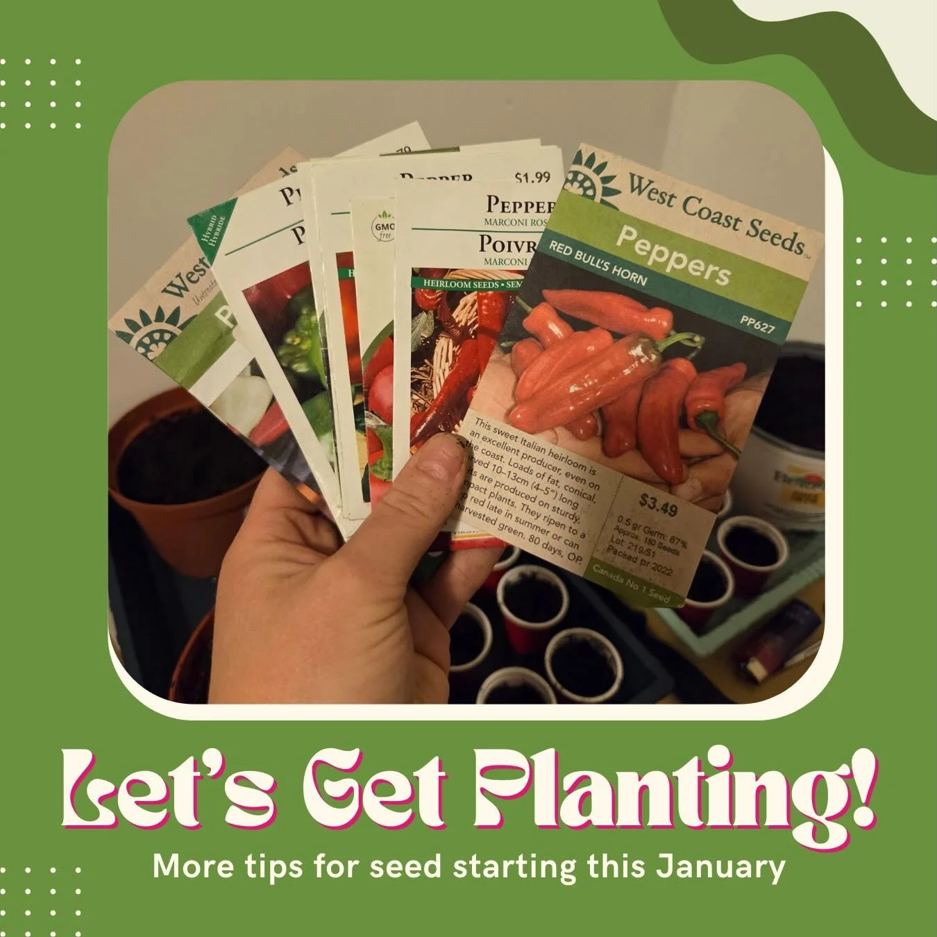 Let&rsquo;s get planting! 🌱 This past weekend, one of our NGM team members started planting some seeds and we want to share a few tips with you for starting your seeds indoors this month!

Seed Starting Containers: We recommend reusing old household