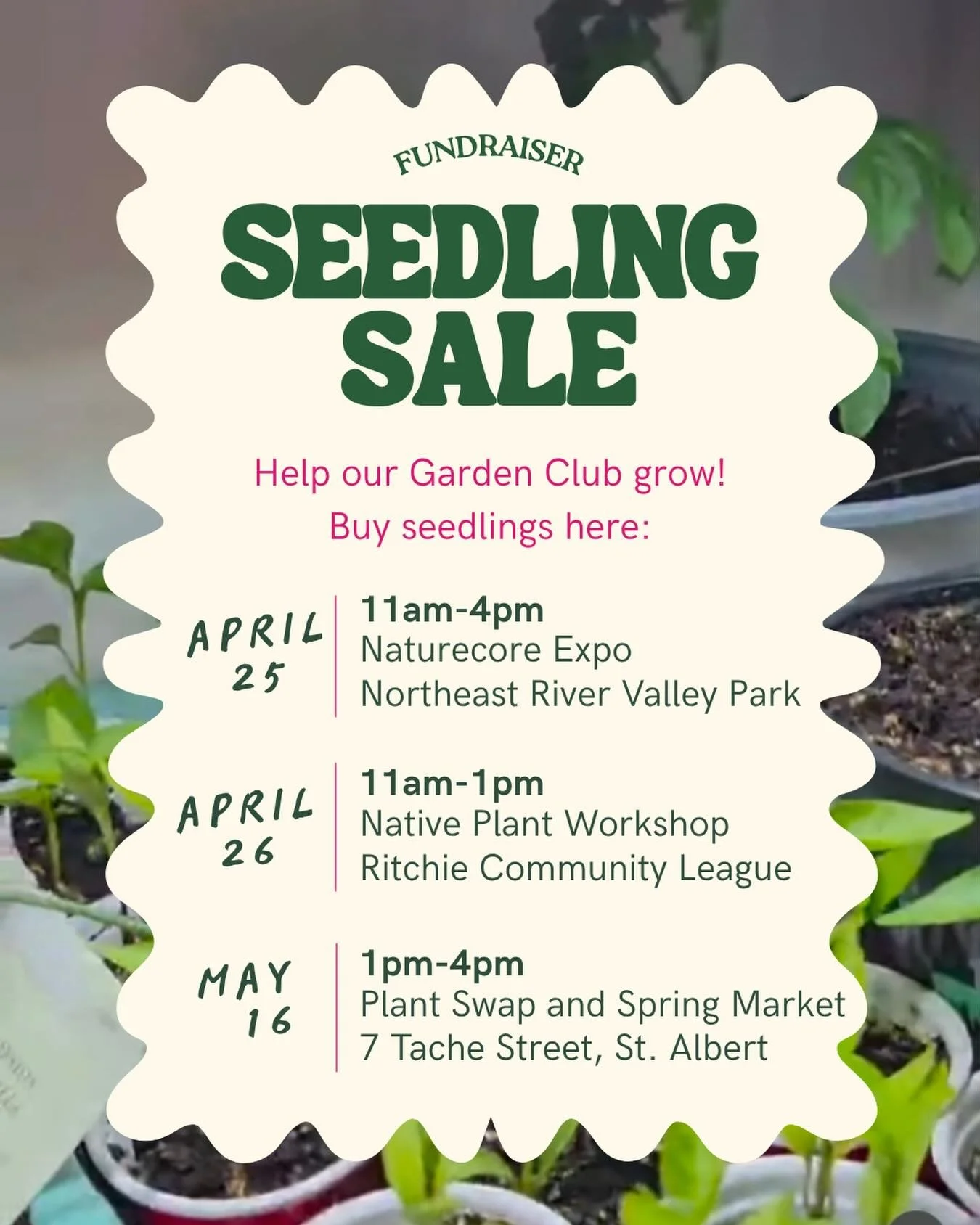 Garden season is fast approaching, and we&rsquo;re excited to announce that we&rsquo;re selling seedlings at 3 different events over the next month!! 🌱

This seedling sale will raise funds for the NGM Garden Club, helping us pay for tools, seeds, an