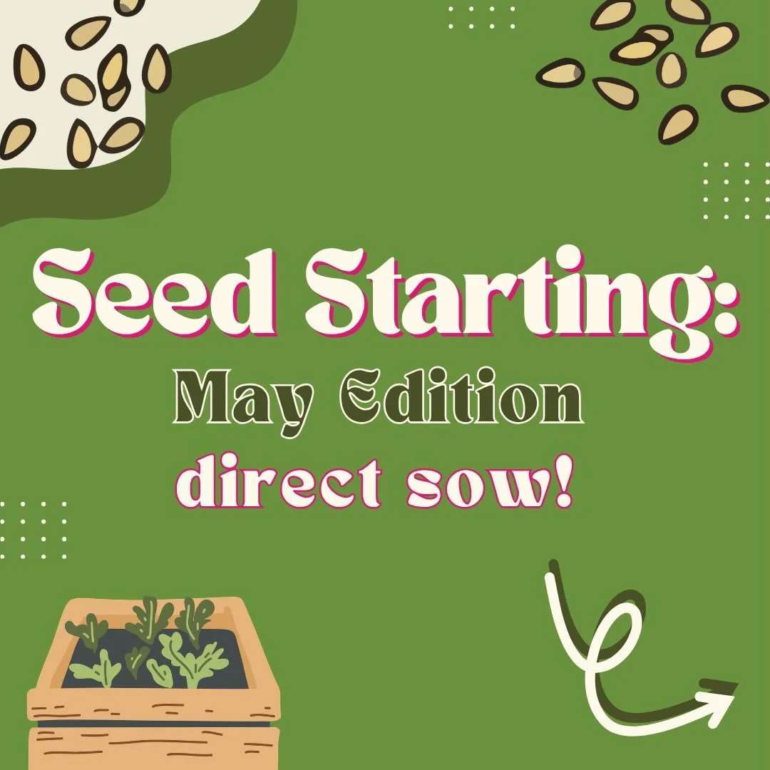 Another month of seed starting recommendations! But this time, we can start outdoors! The following are our recommendations for seeds you can direct sow in May. As always, check out the link in our bio for fuller tips. Comment below your seed startin