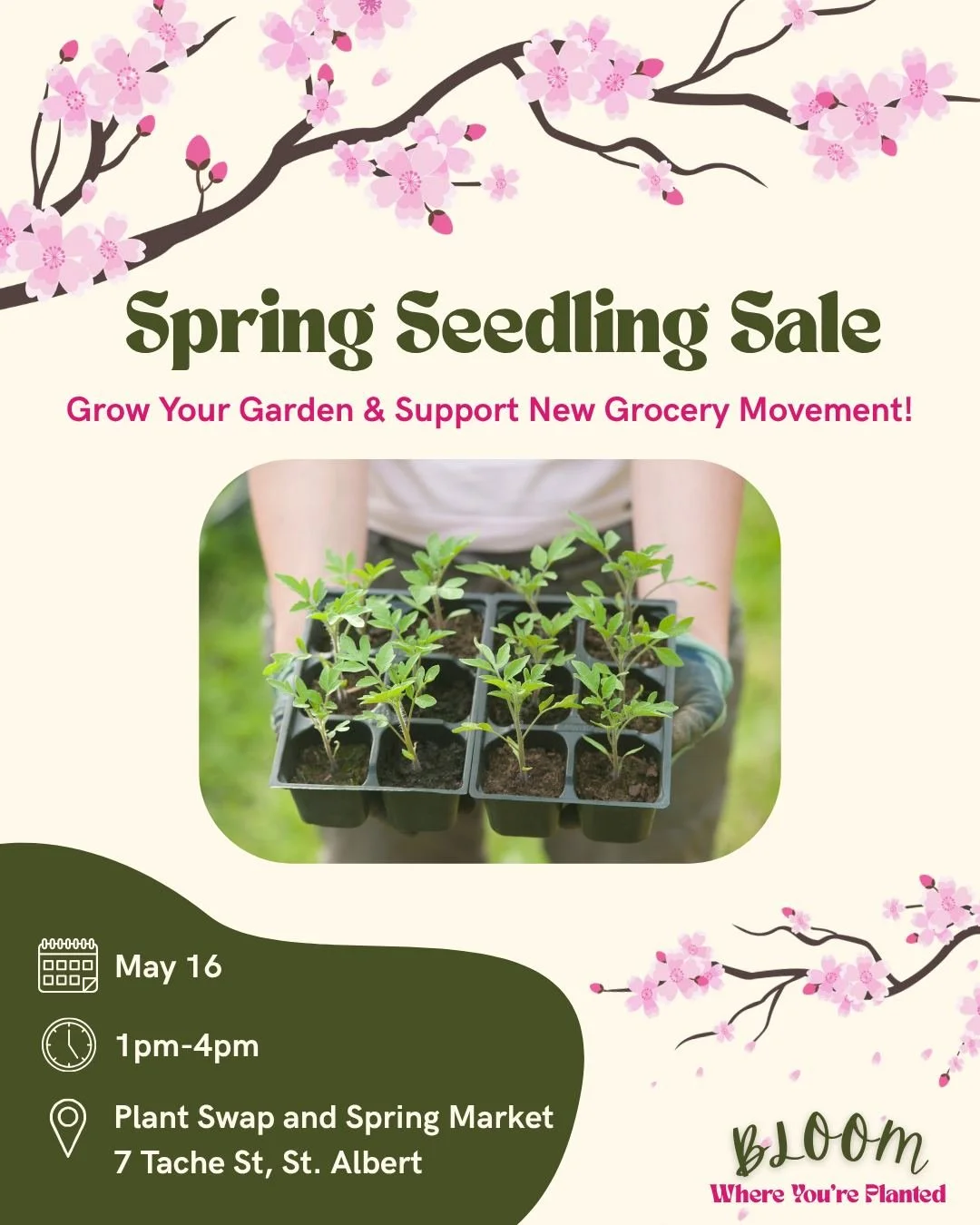 We have another Seedling Sale coming up at the St. Albert Plant Swap and Spring Market! The event is FREE to attend and we will have a variety of seedlings available for $5- $6.

Thanks to your generous support, we have raised $950 so far! Help us re