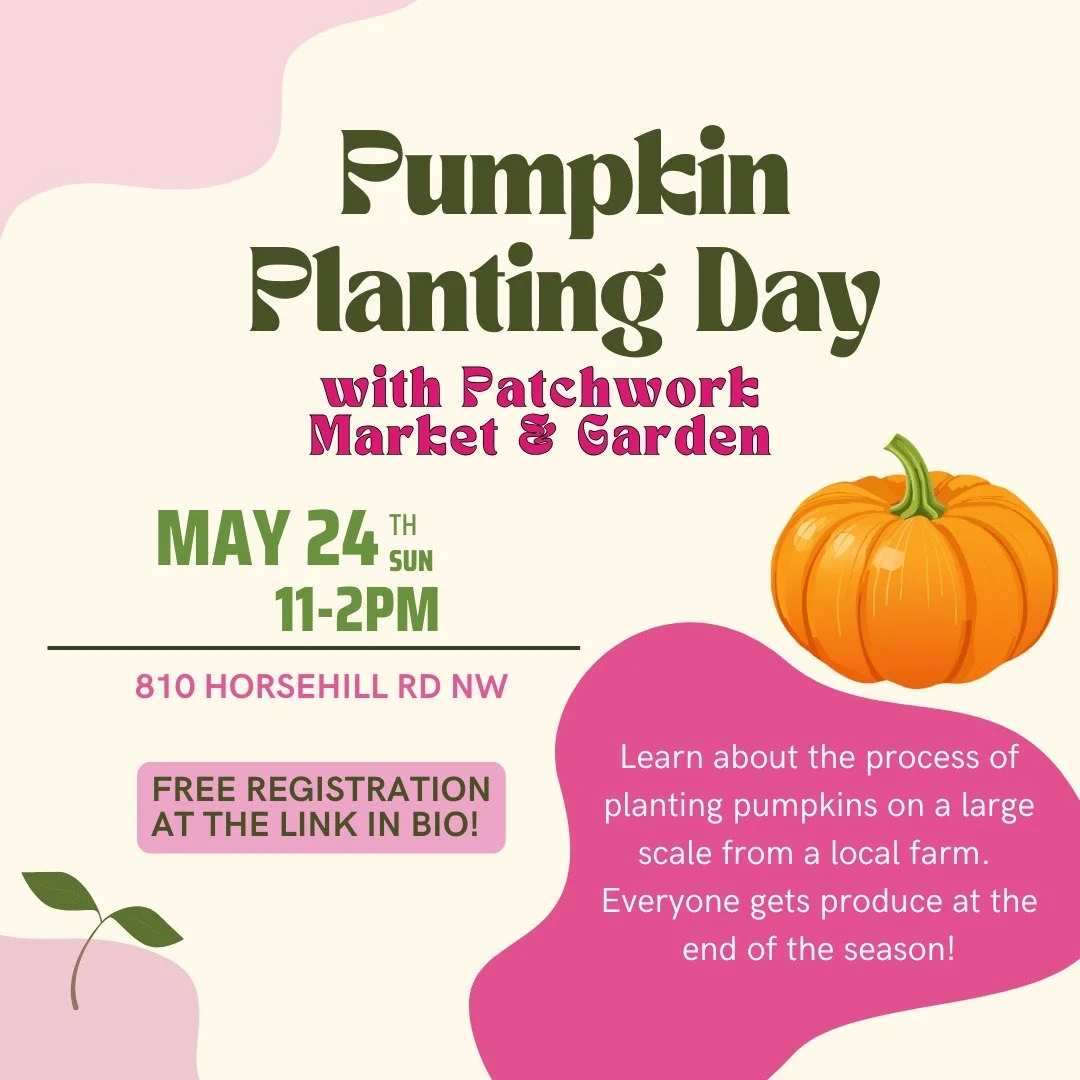 THIS WEEKEND you have the chance to get your hands in the soil with @newgrocerymovement and @patchwork.yeg! 

New Grocery Movement is excited to partner with Patchwork Market &amp; Garden to teach the process of planting pumpkins on a larger scale. E