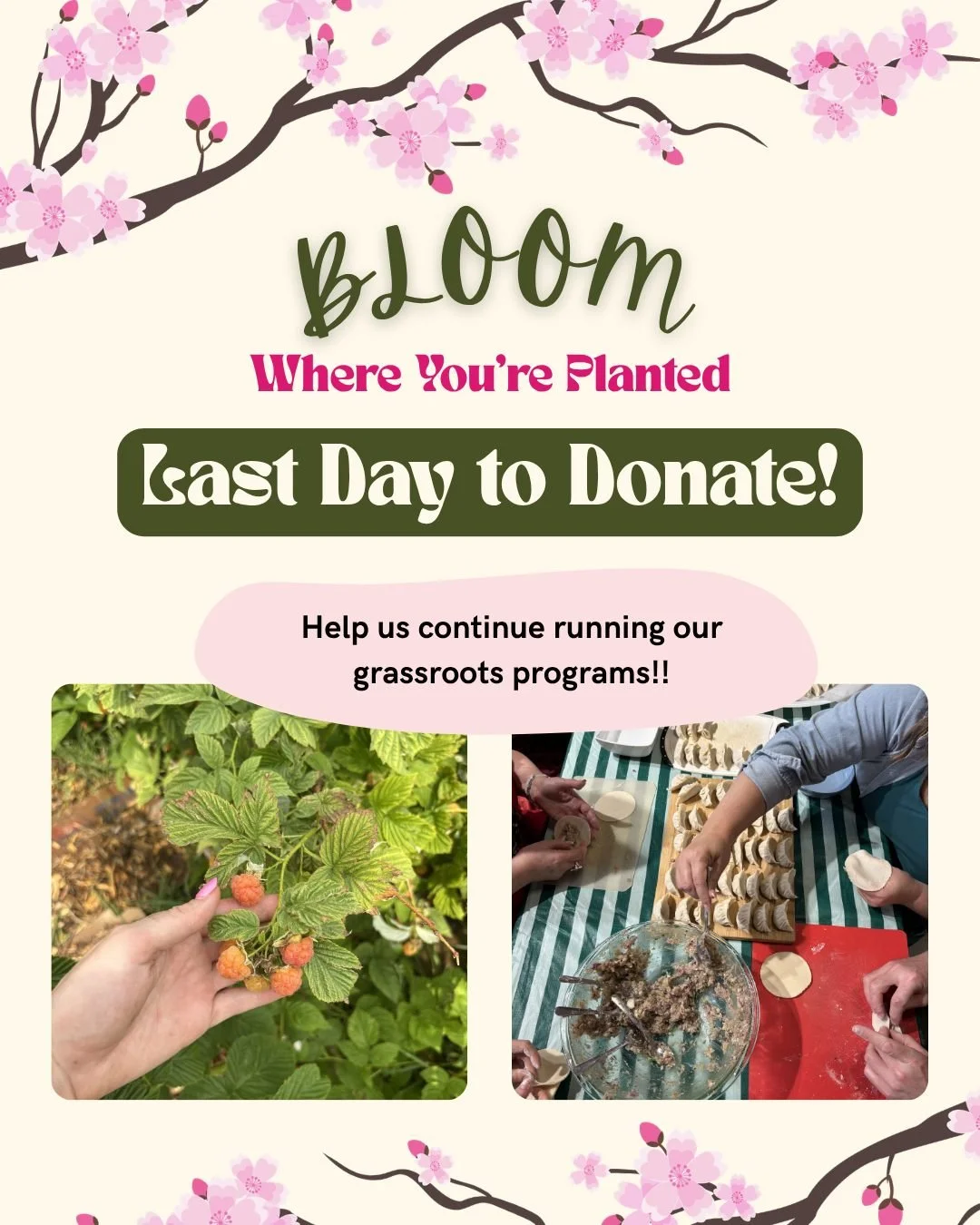 Today is the last day to donate to the Bloom Where You're Planted campaign! 

We're a small team of passionate young women across Canada, and we run a lot of programs and events with little resources. 

Receiving donations and support from our commun