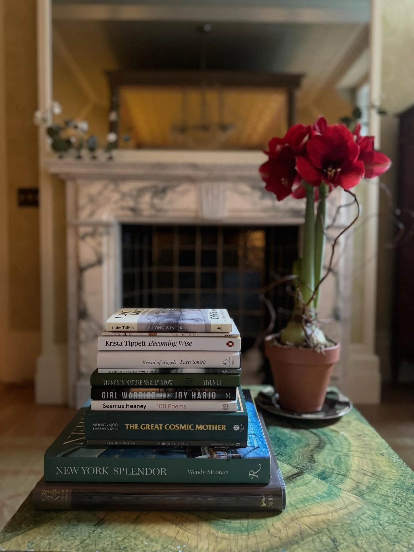 Books are among my favorite things to give and receive, but they really make the best gifts to oneself - a promise of future sacred time spent exploring and expanding according only to curiosity, without expectation. With one exception (Rockwell Kent