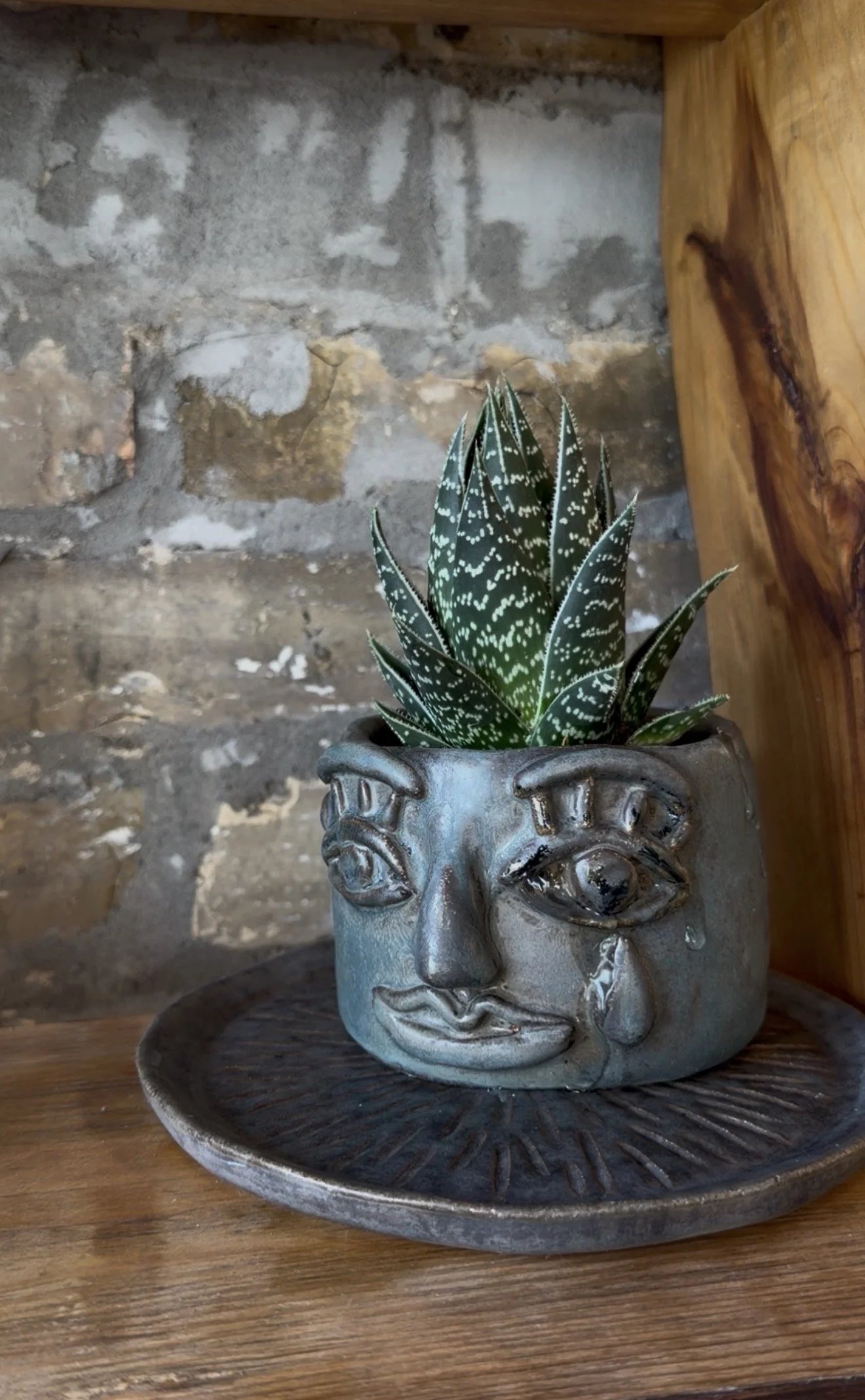 Plant and Clay Crawl - Crying Pots