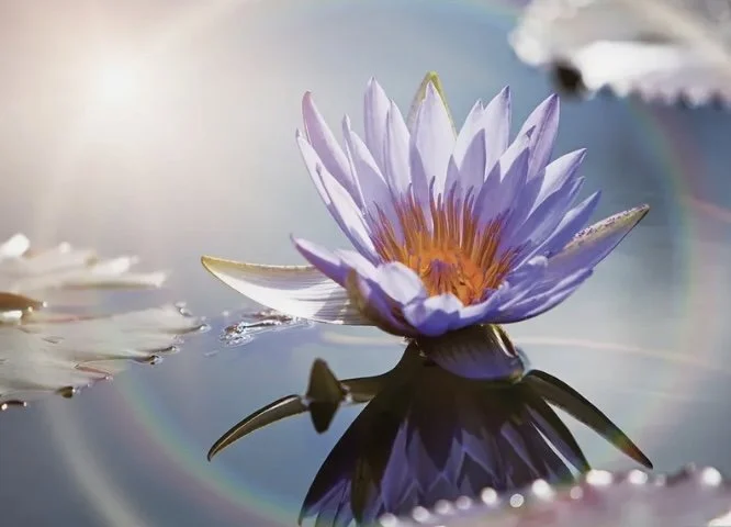 Turn Intention Into Action