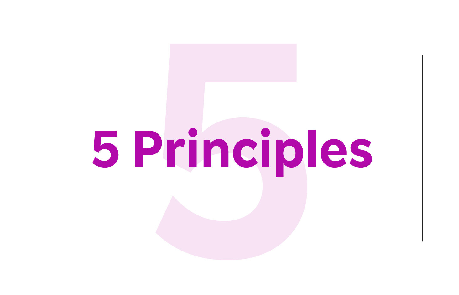 5 Company Principles