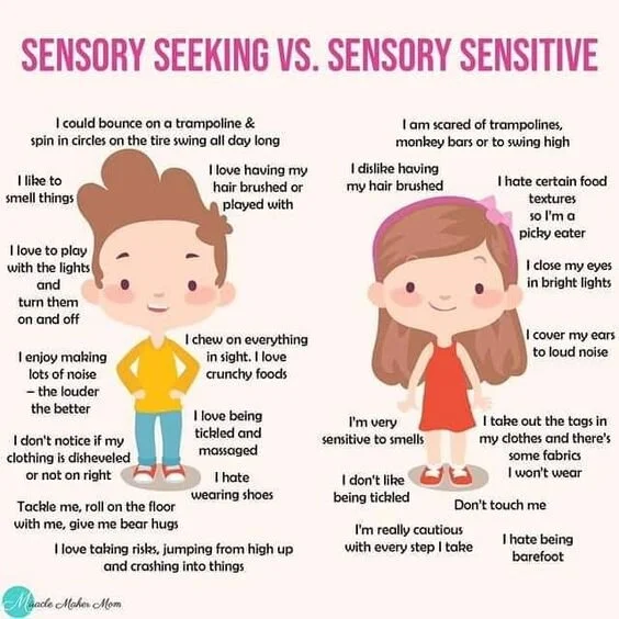 Image is a chart on sensory seeking vs sensory sensitive and compares the two.