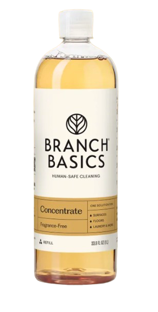 Branch Basics