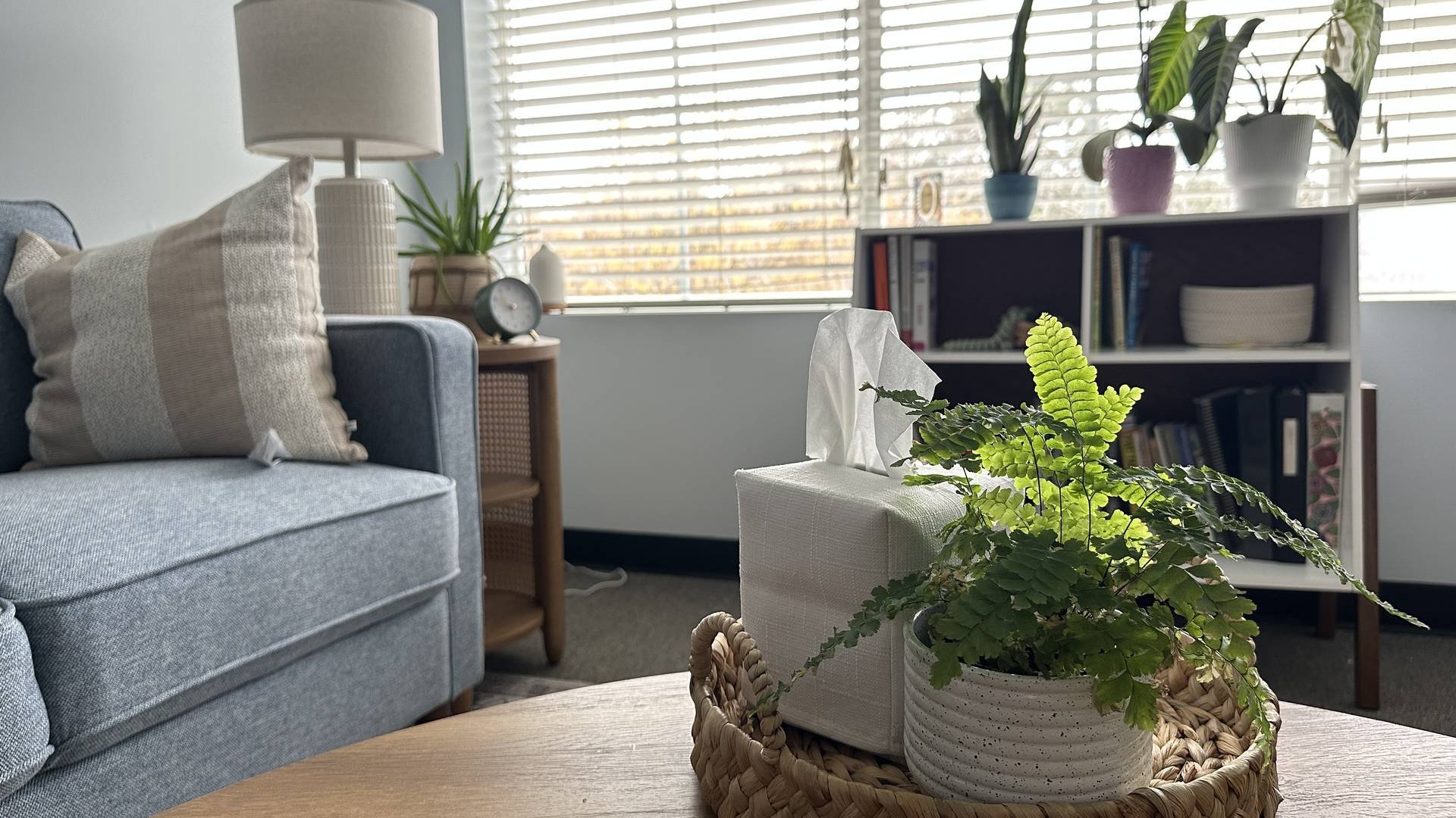 Low country Behavioral Health West Ashley office interior, calming waiting area