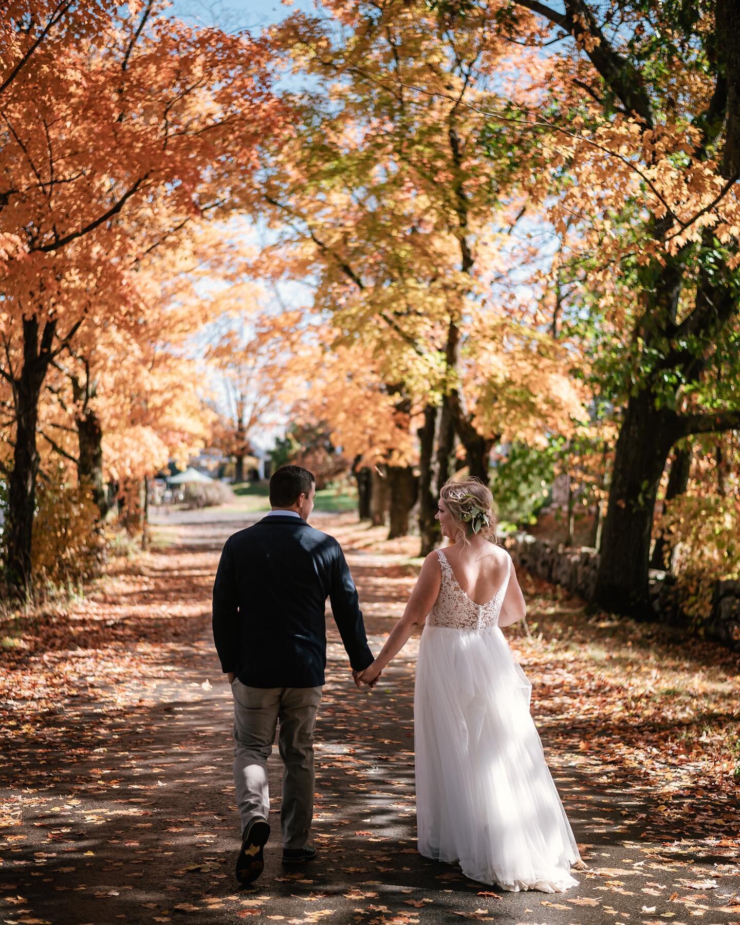 Massachusetts puts on one hell of a fall display.
.
.
.
.
.
#Elopement #elopementphotographer #intimatewedding #littlethingstheory #junebugwedding s#elope #greenweddingshoes #destinationweddingphotographer #loveintentionally #bohowedding #indieweddin