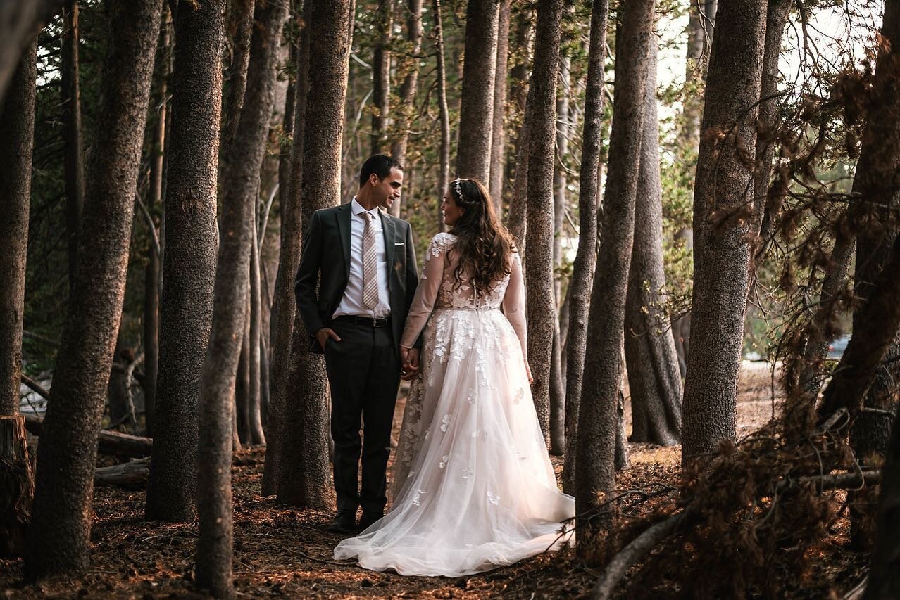 Yosemite is not all granite domes and cliffs, you&rsquo;ve got to make sure you get into the woods as well.
.
.
.
.
.
#adventurewedding #adventureelopement #pnw #wanderingweddings #elopement #wanderlust #elope #bohobride #engaged #yourockphotographer