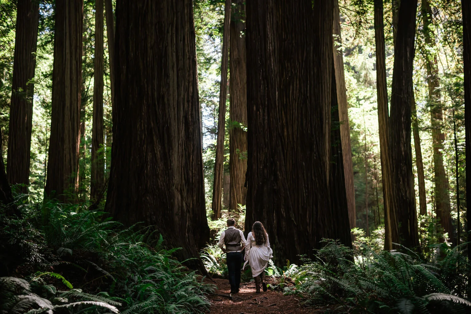 A couple walking through a lush forest with tall trees and green ferns.