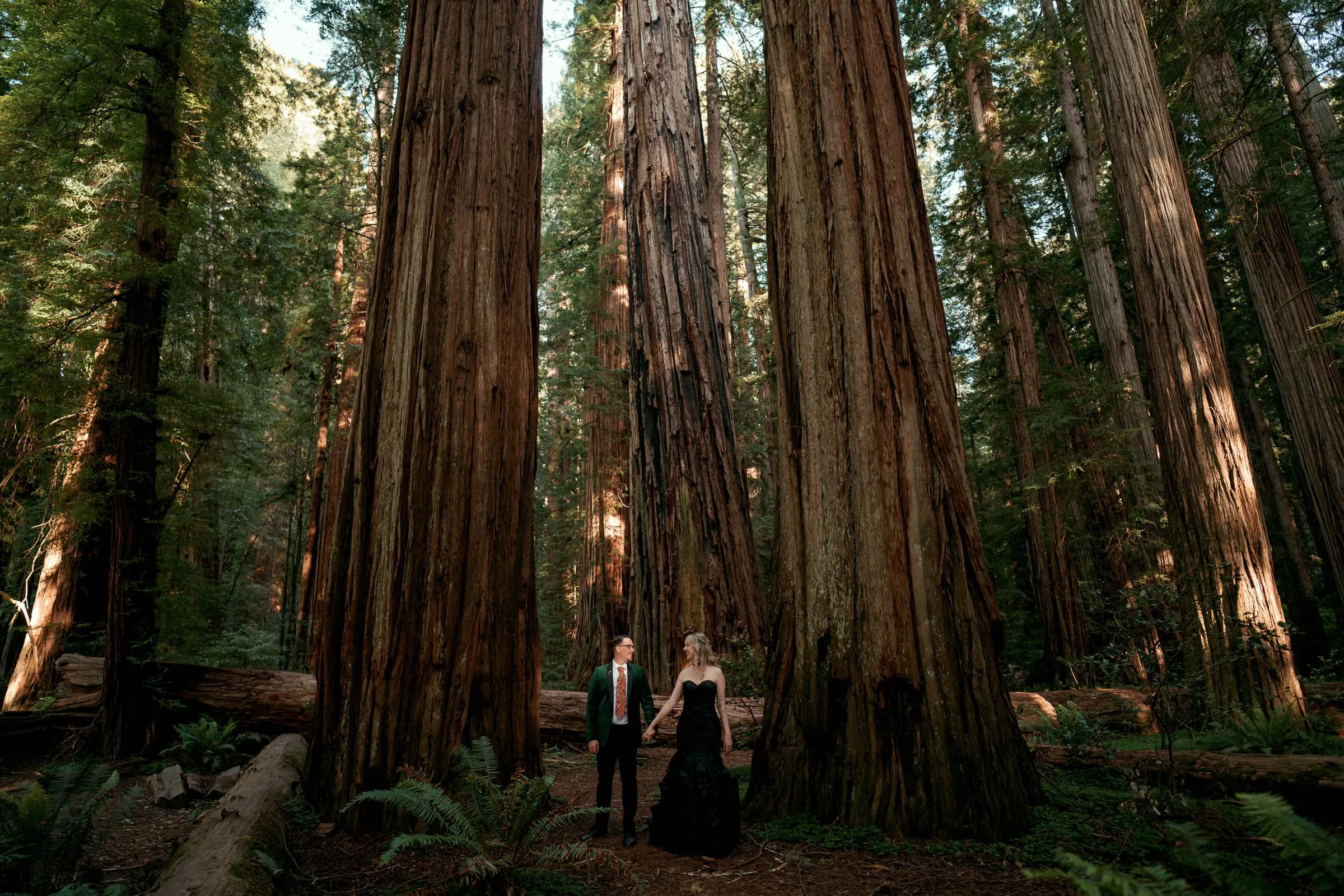One of my Favorite Foggy Beach Shoots, Redwood Elopement