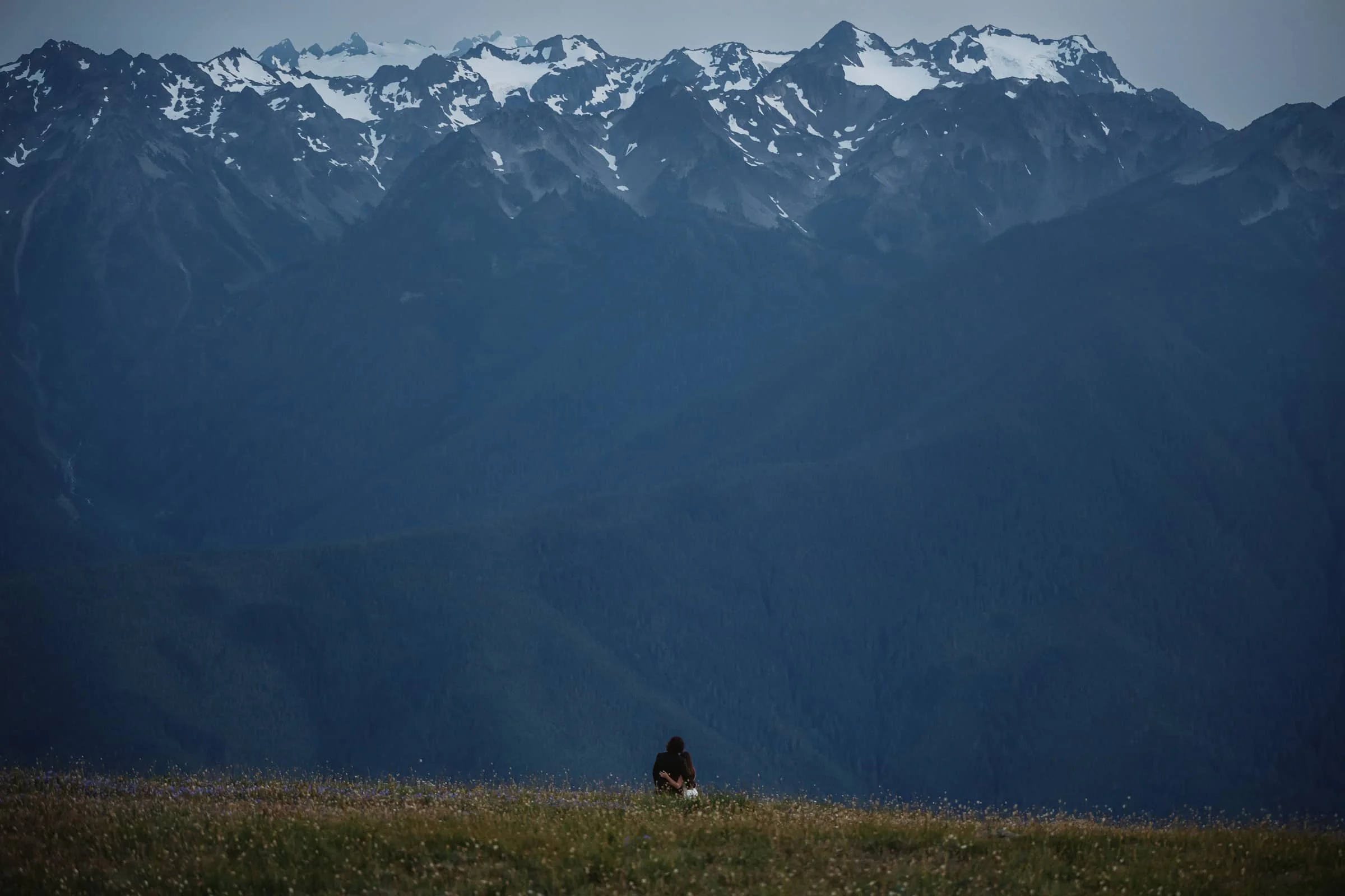 couple sitting in a grassy field with mountains and snow-capped peaks in the background at hurricane ridge.