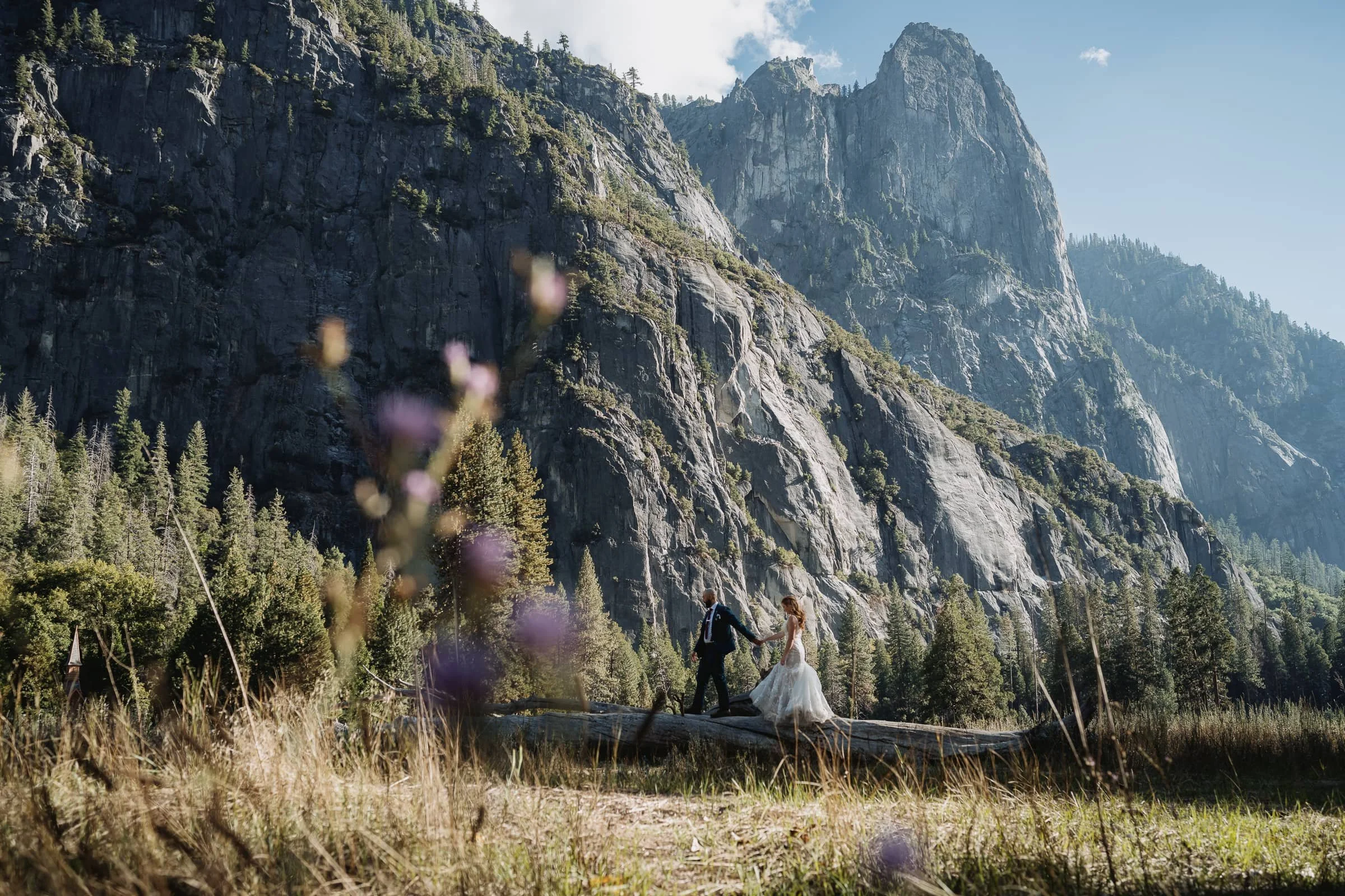 man leads new bride log spring yosemite