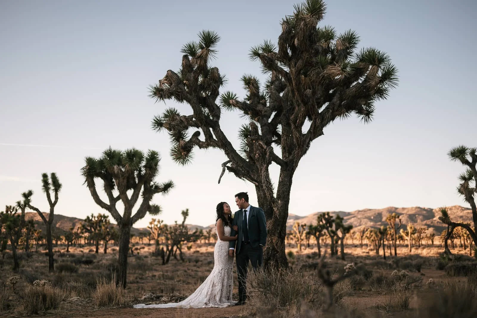 newlyweds gaze lovingly into each others eyes in hidden valley before their micro wedding ceremony