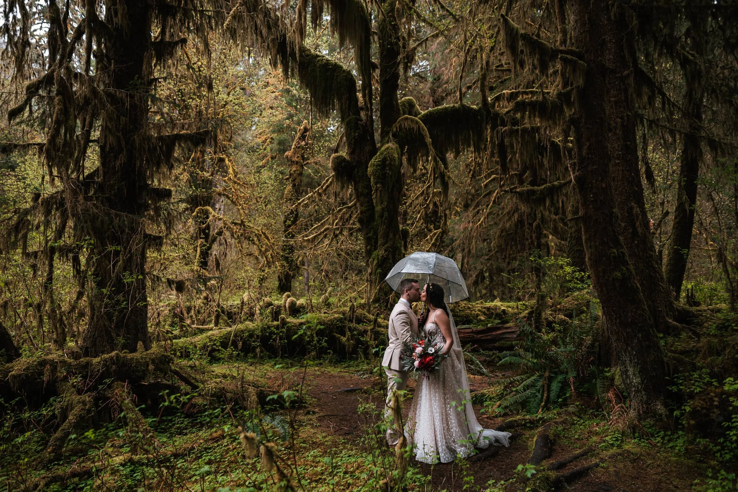 couple kisses under umbrella among the moss of hoh rainforest