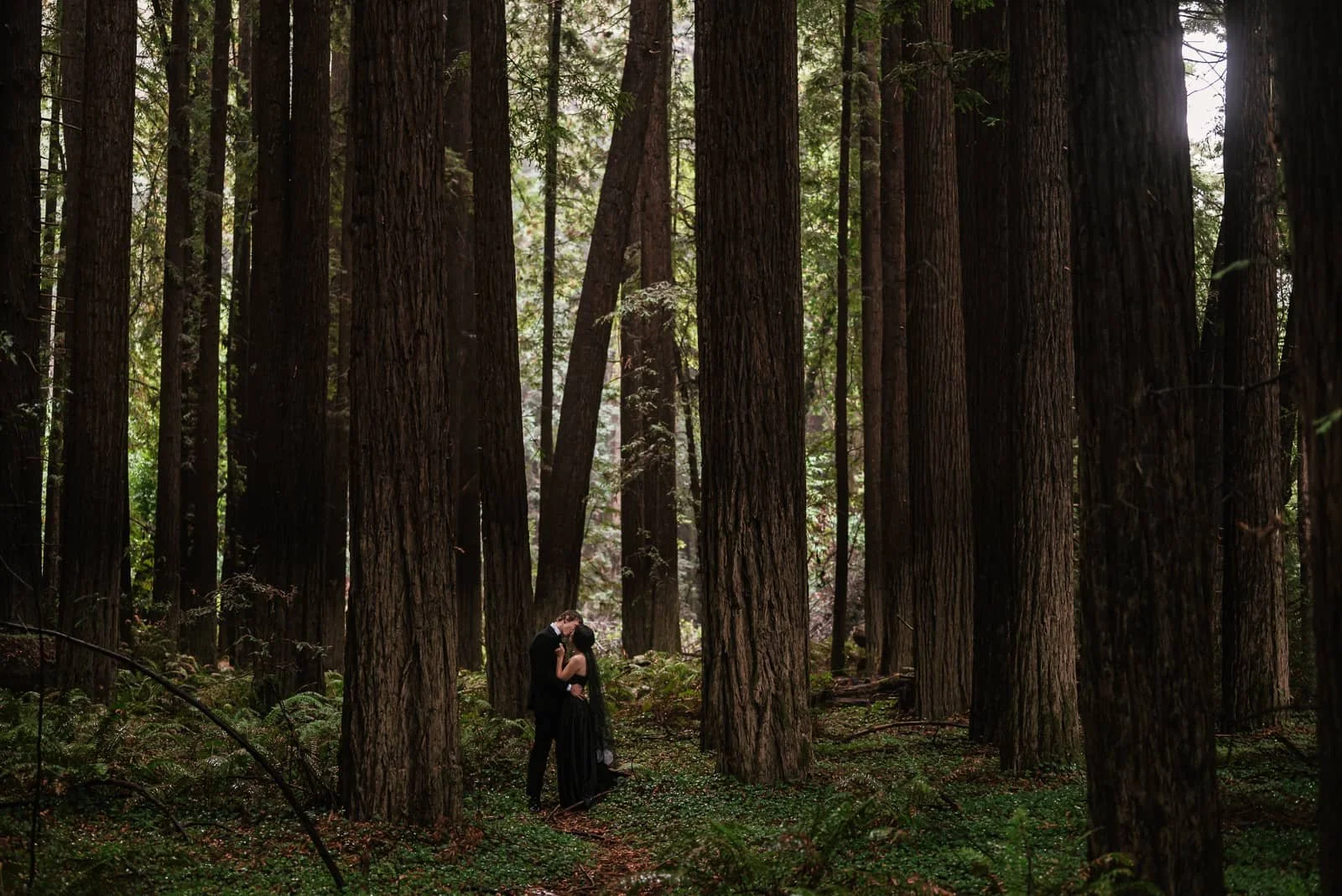 bride in black wedding dress kisses new husband after redwood elopement