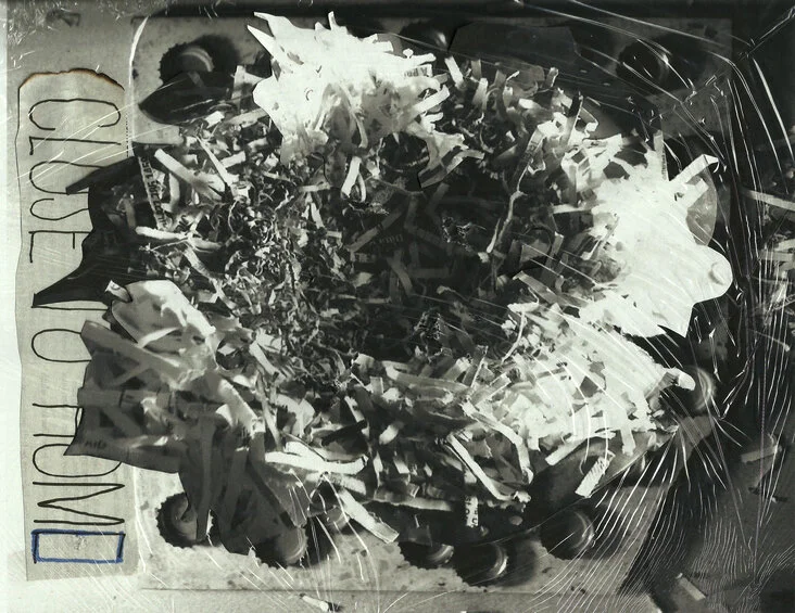 Birds of Feather.jpg