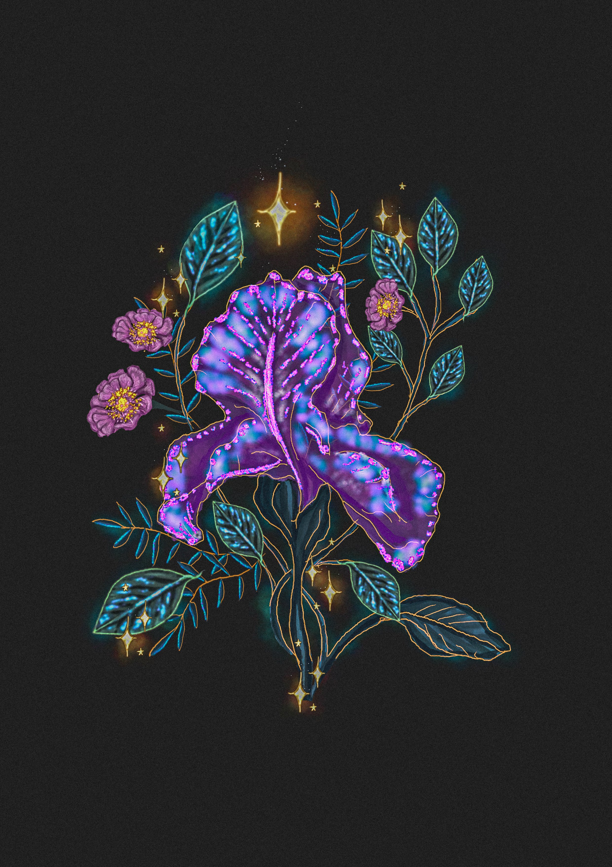 I get it - Coming Soon 