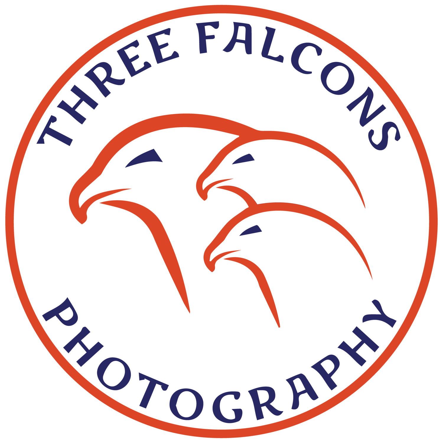 Three Falcons Photography