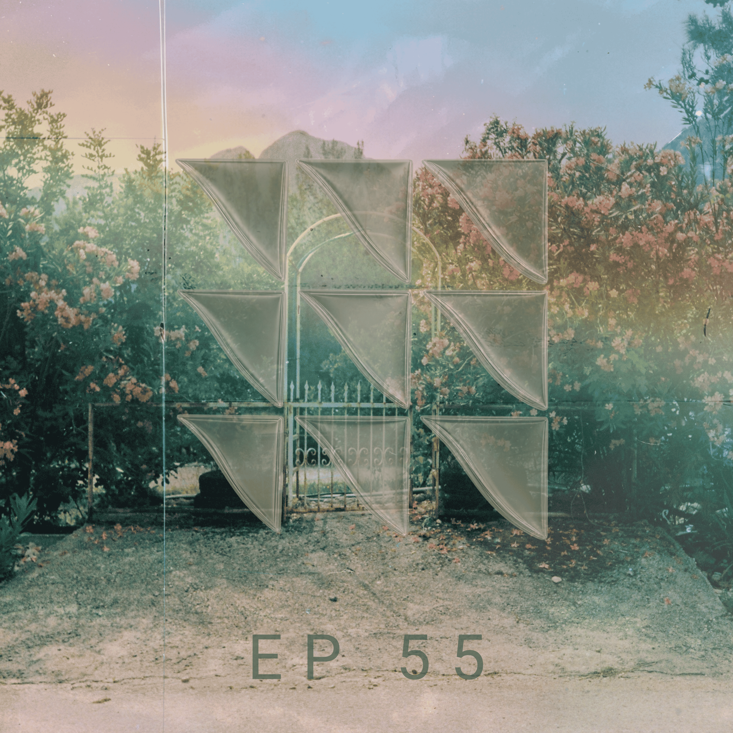 EP 55 | The Garden: When Life Is Growing Slowly