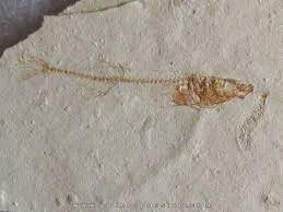 Art Explorations |  June 15, 16, 17