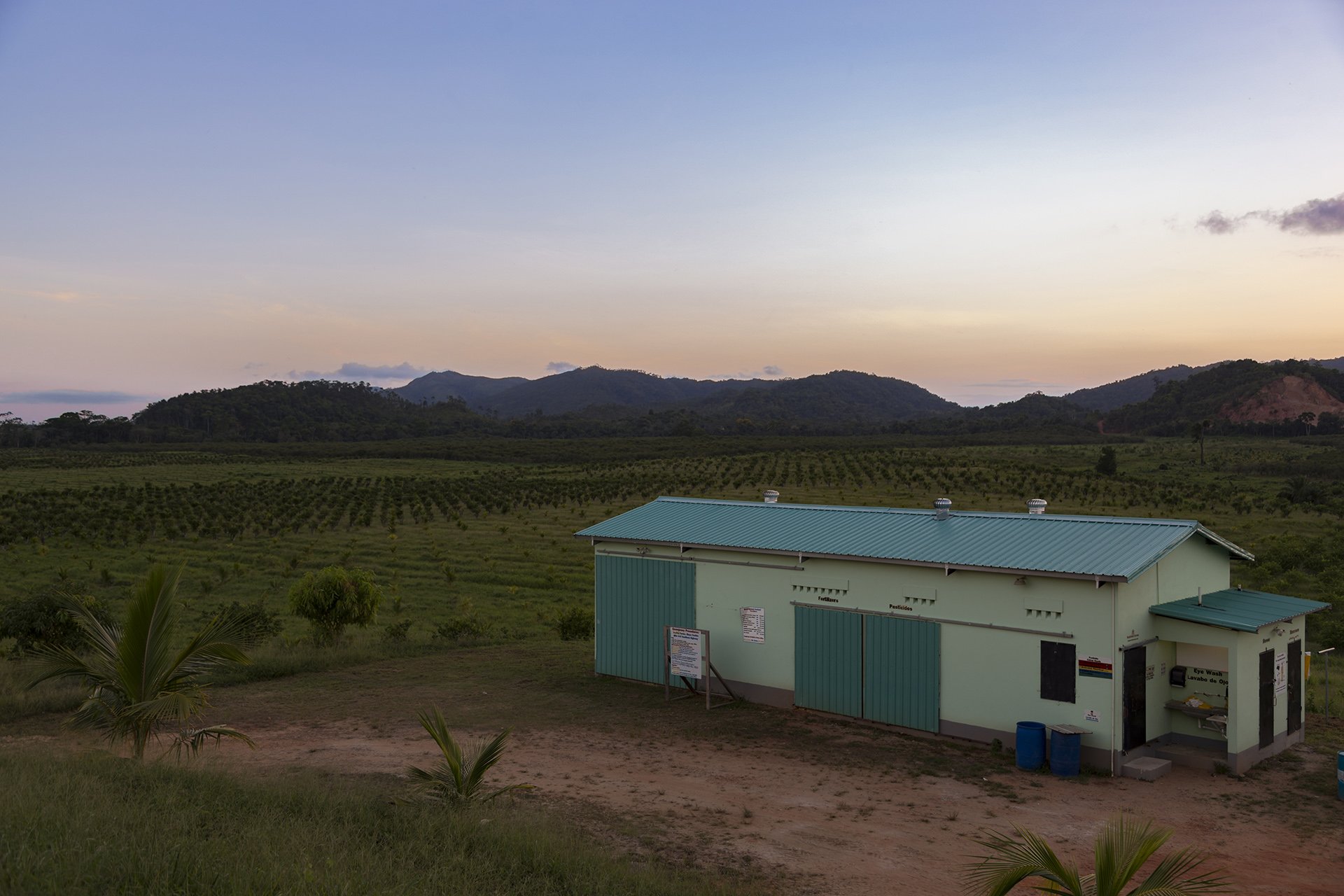 A serene sunset over the Texbel Farms facility, encapsulating dedication and harmony with nature. Ideal for storytelling in agriculture and eco-tourism.